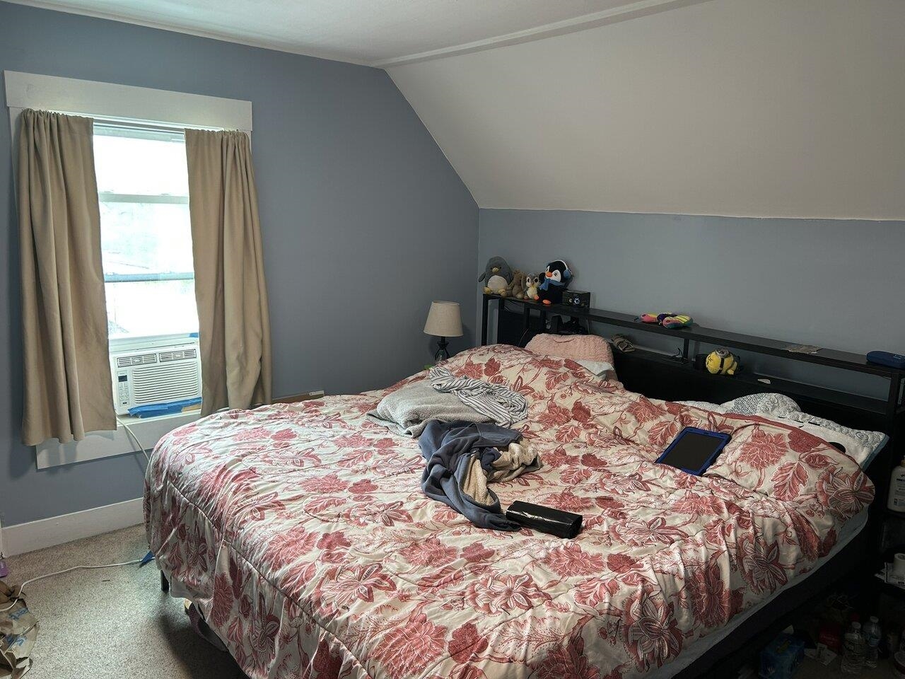 30 Willey Street Property Photo 10