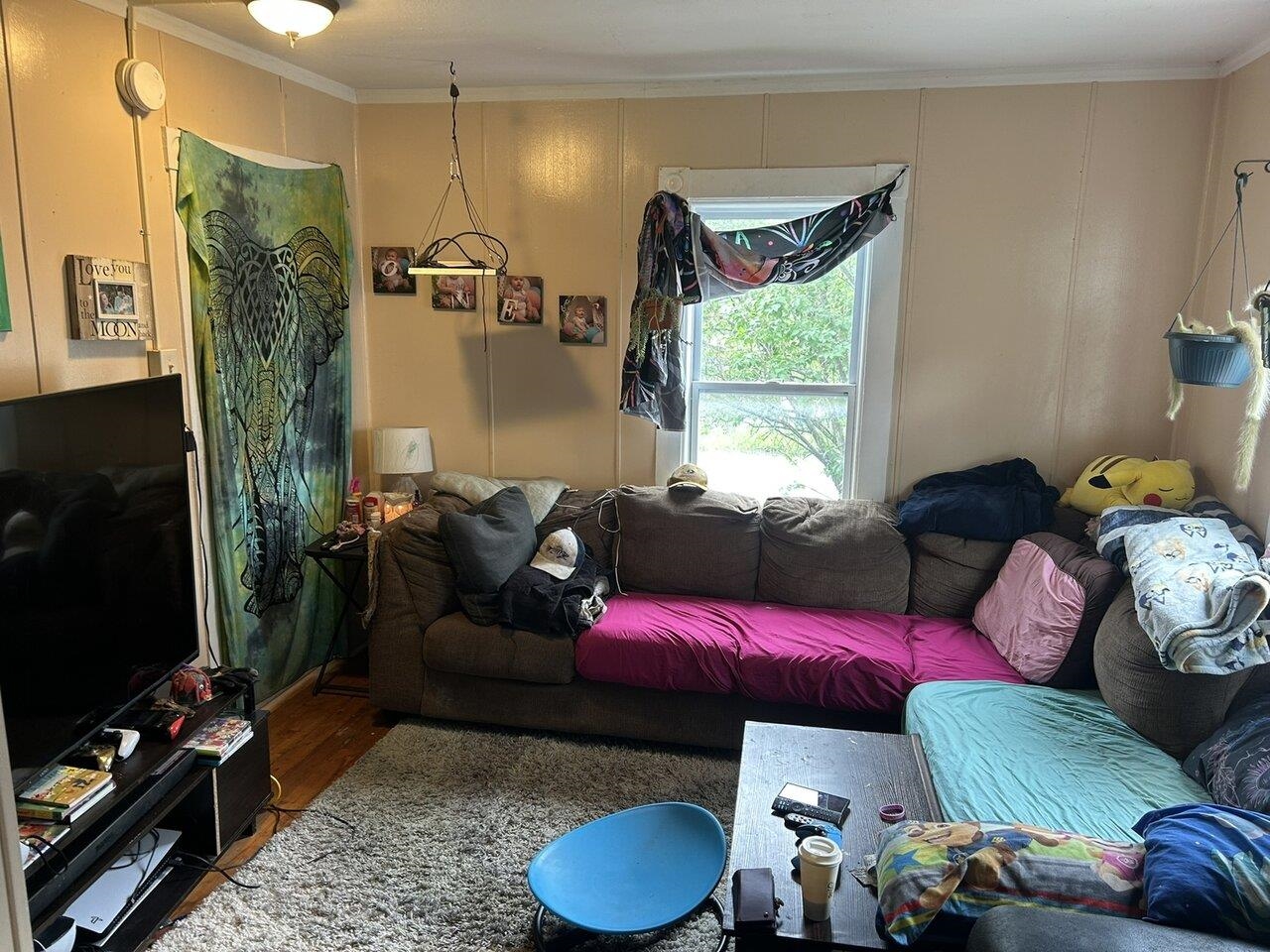 30 Willey Street Property Photo 12