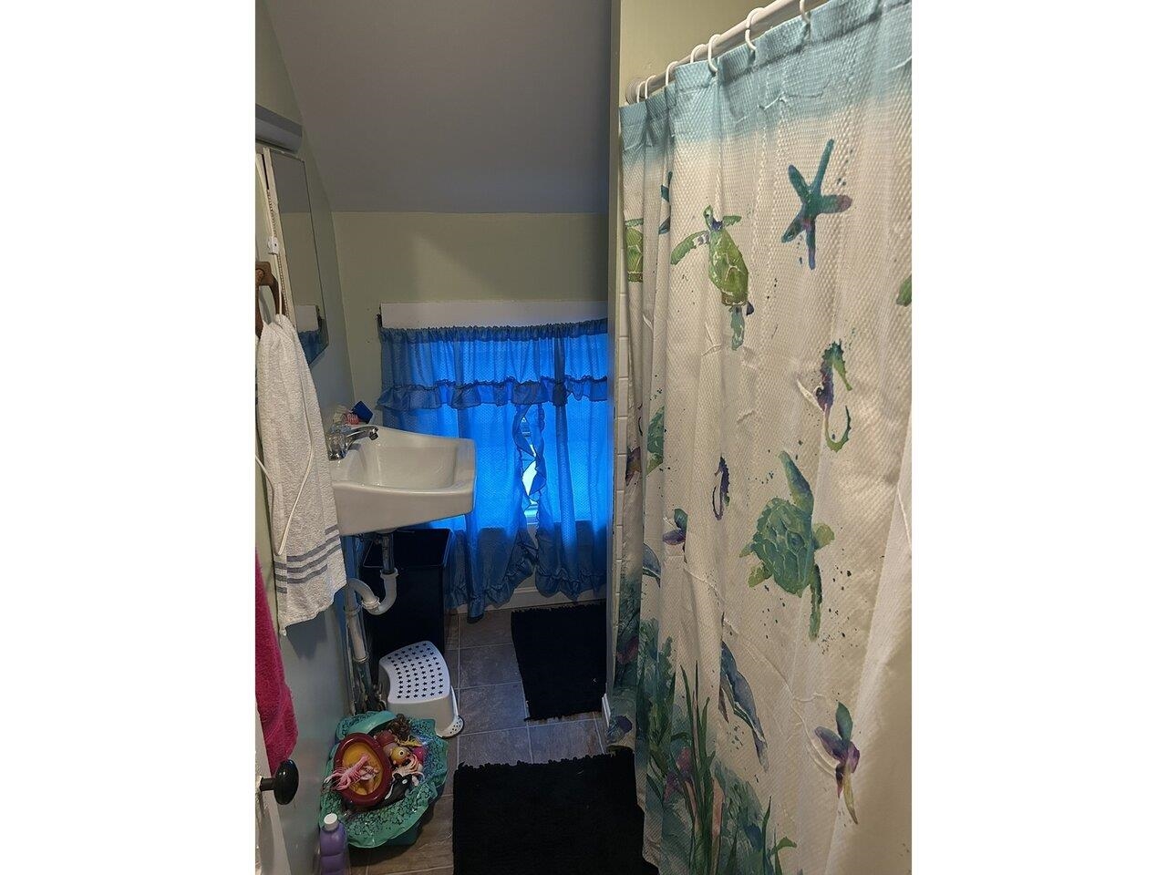 30 Willey Street Property Photo 18
