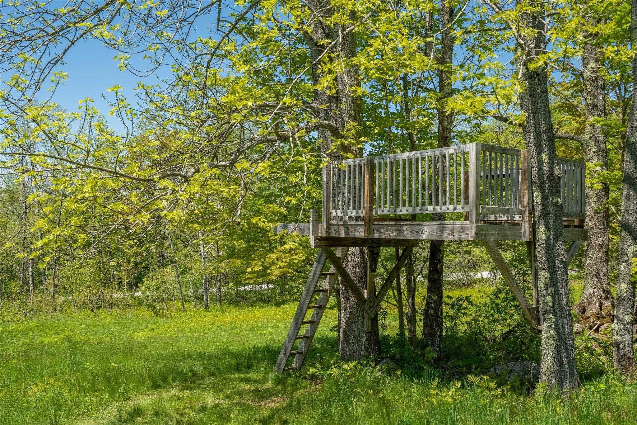 180 Straight Road Property Photo 31