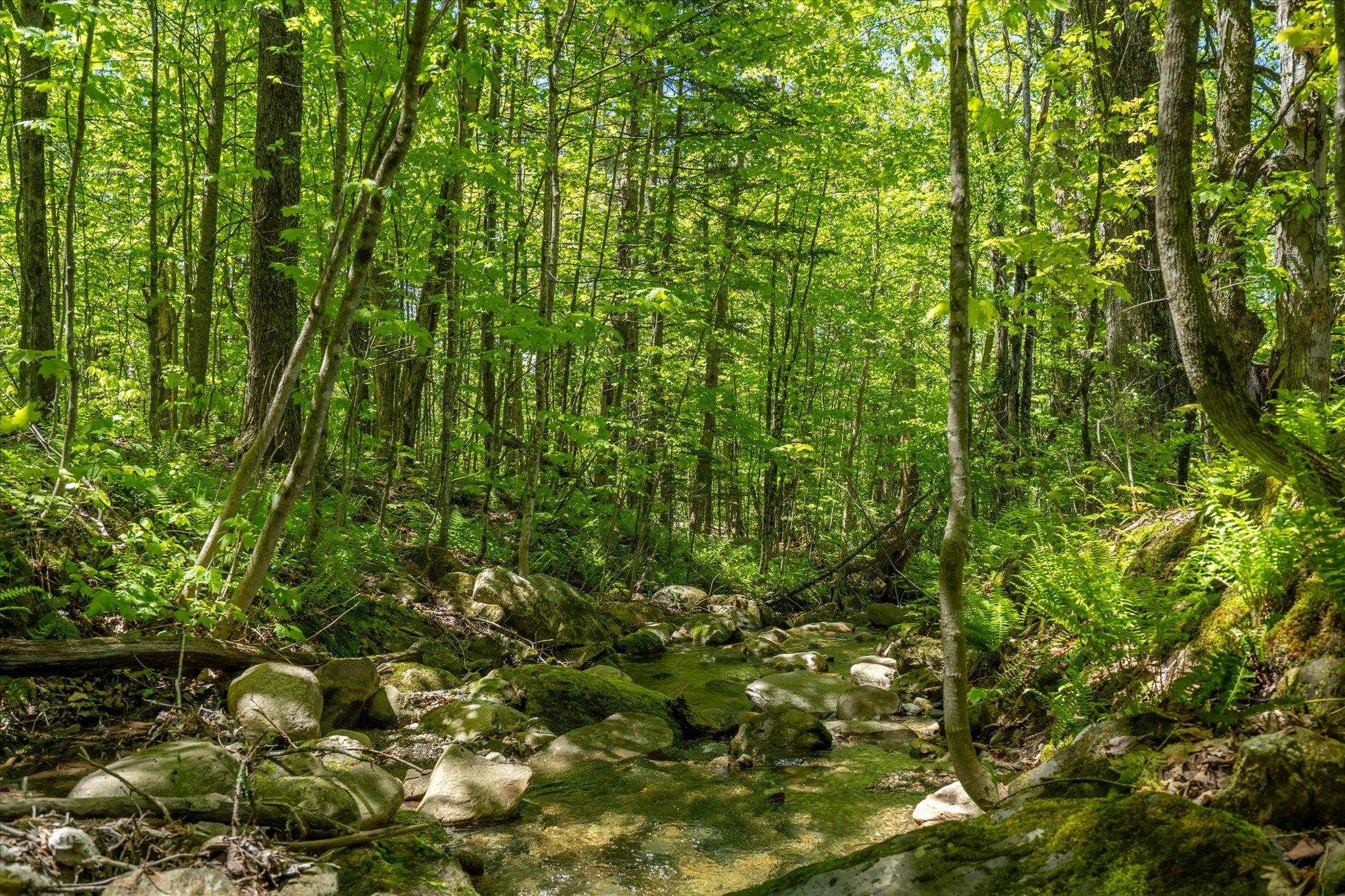 180 Straight Road Property Photo 34