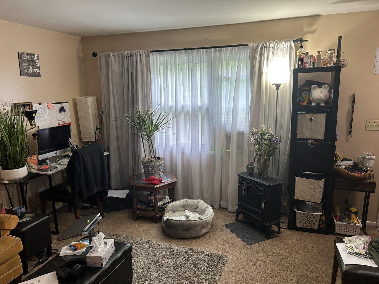 161 Fairview Street Property Photo 31
