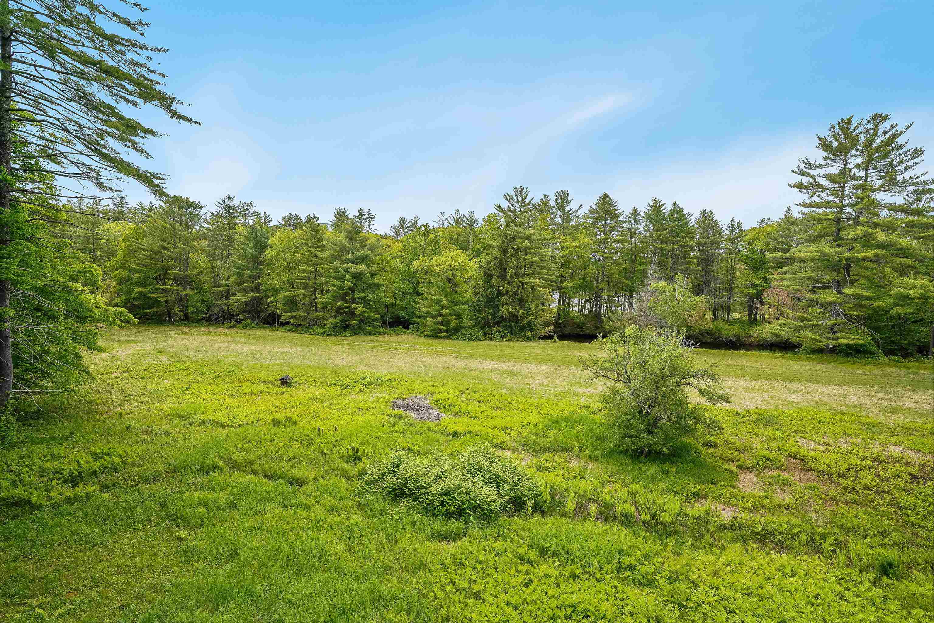 97 Salisbury Highway Property Photo 33