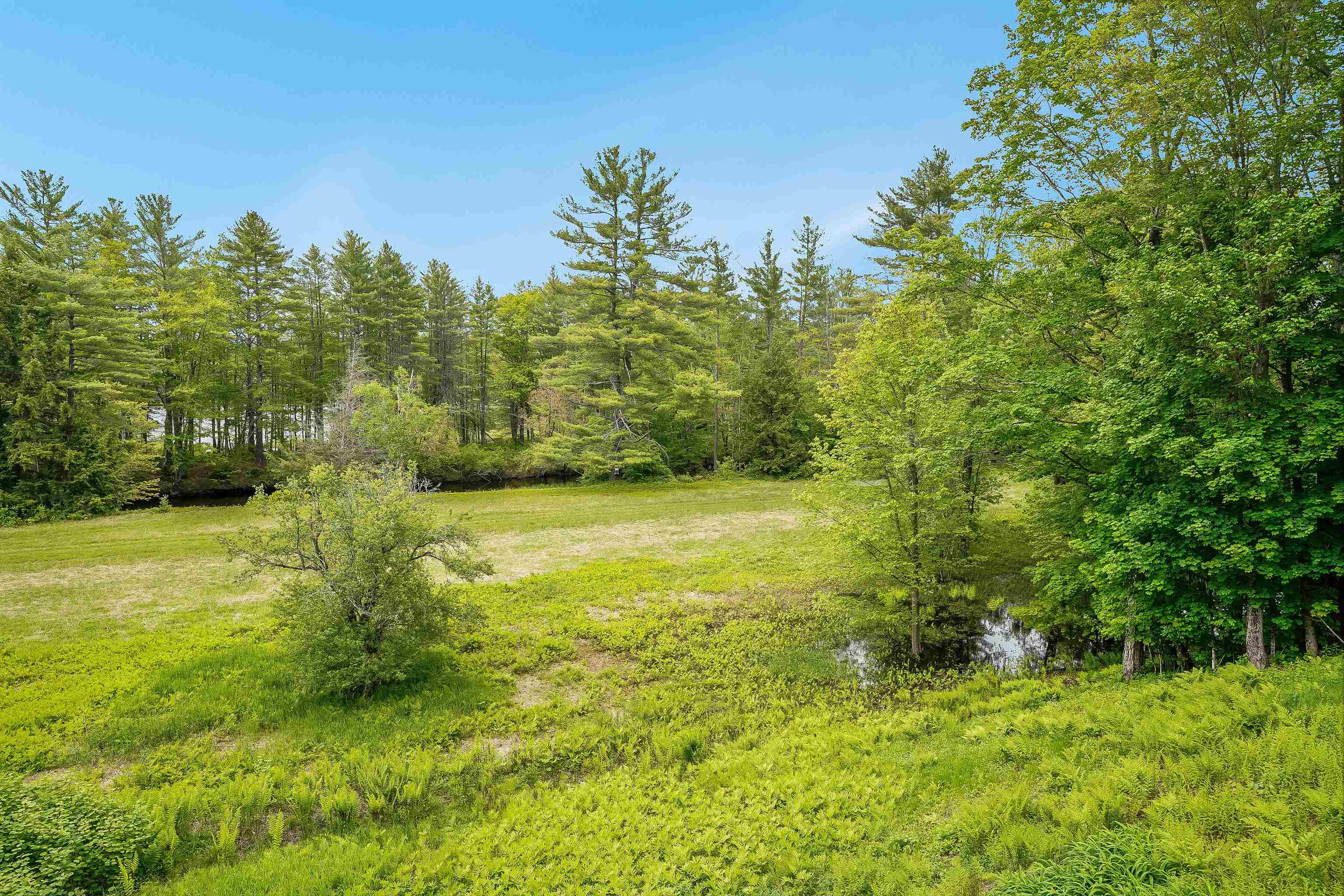 97 Salisbury Highway Property Photo 47