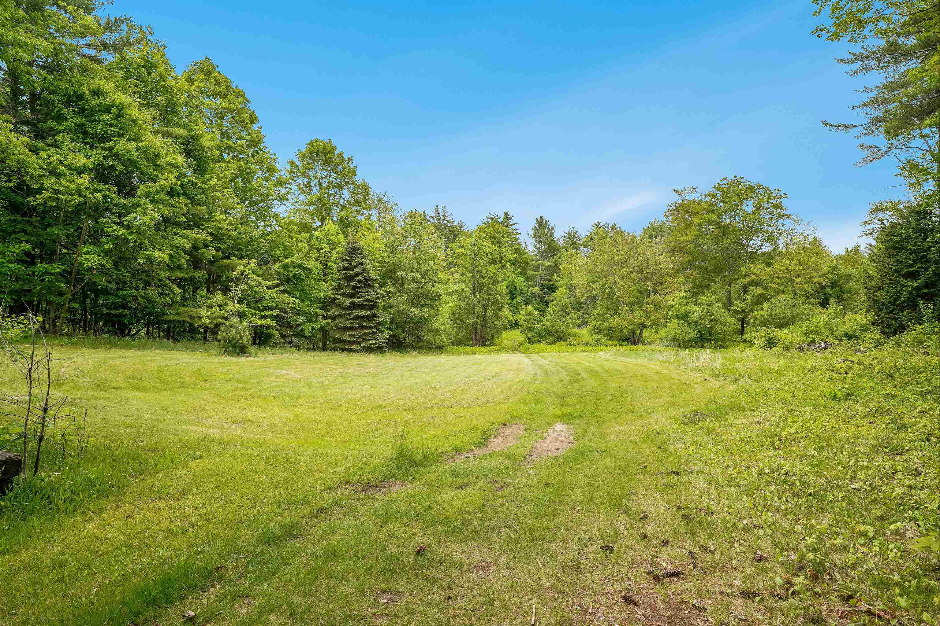 97 Salisbury Highway Property Photo 49