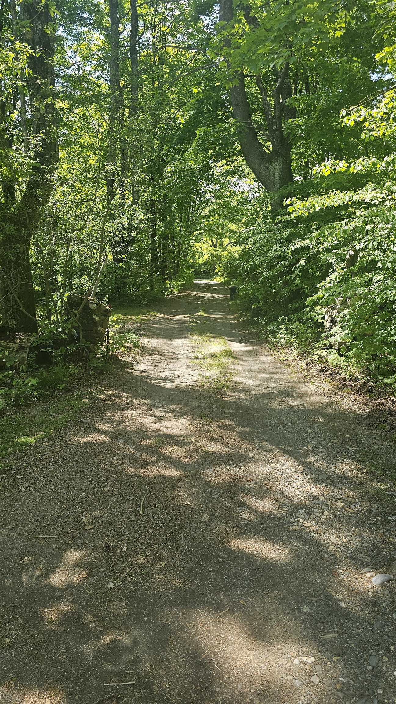 116 Newcomb Road Property Photo 10