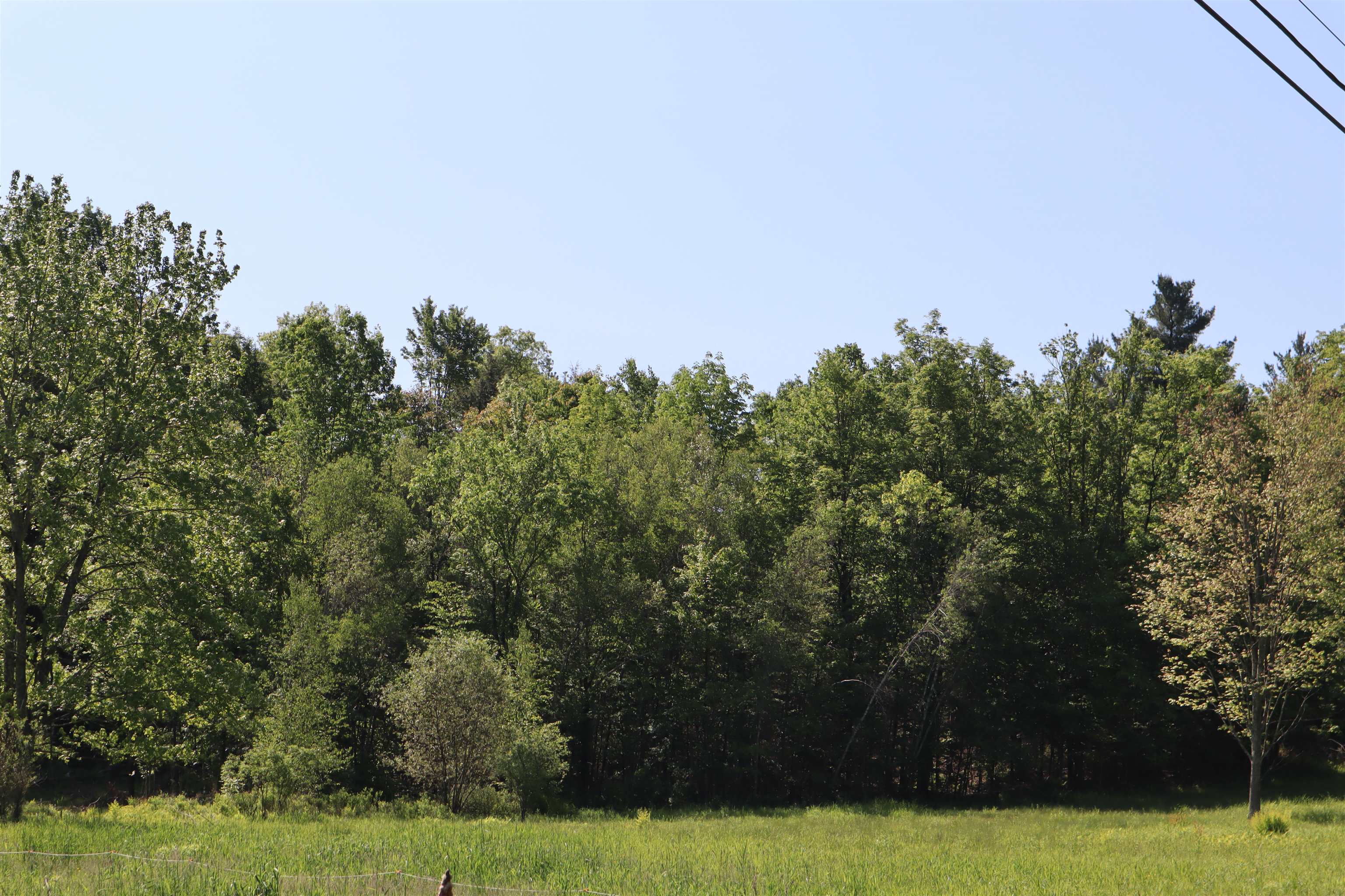 1041 Smead Road Property Photo 2