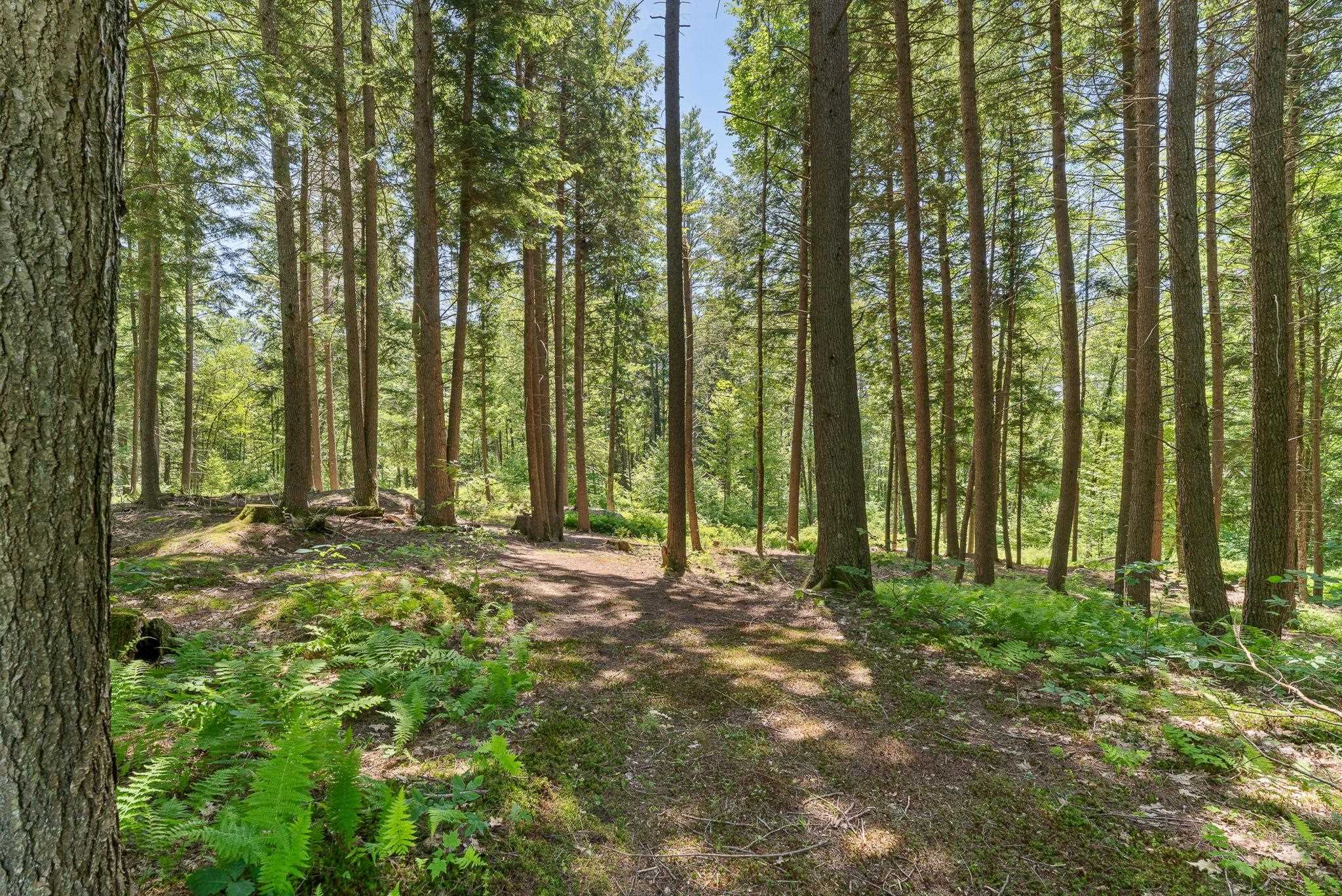 515 Shattuck Hill Road Property Photo 18