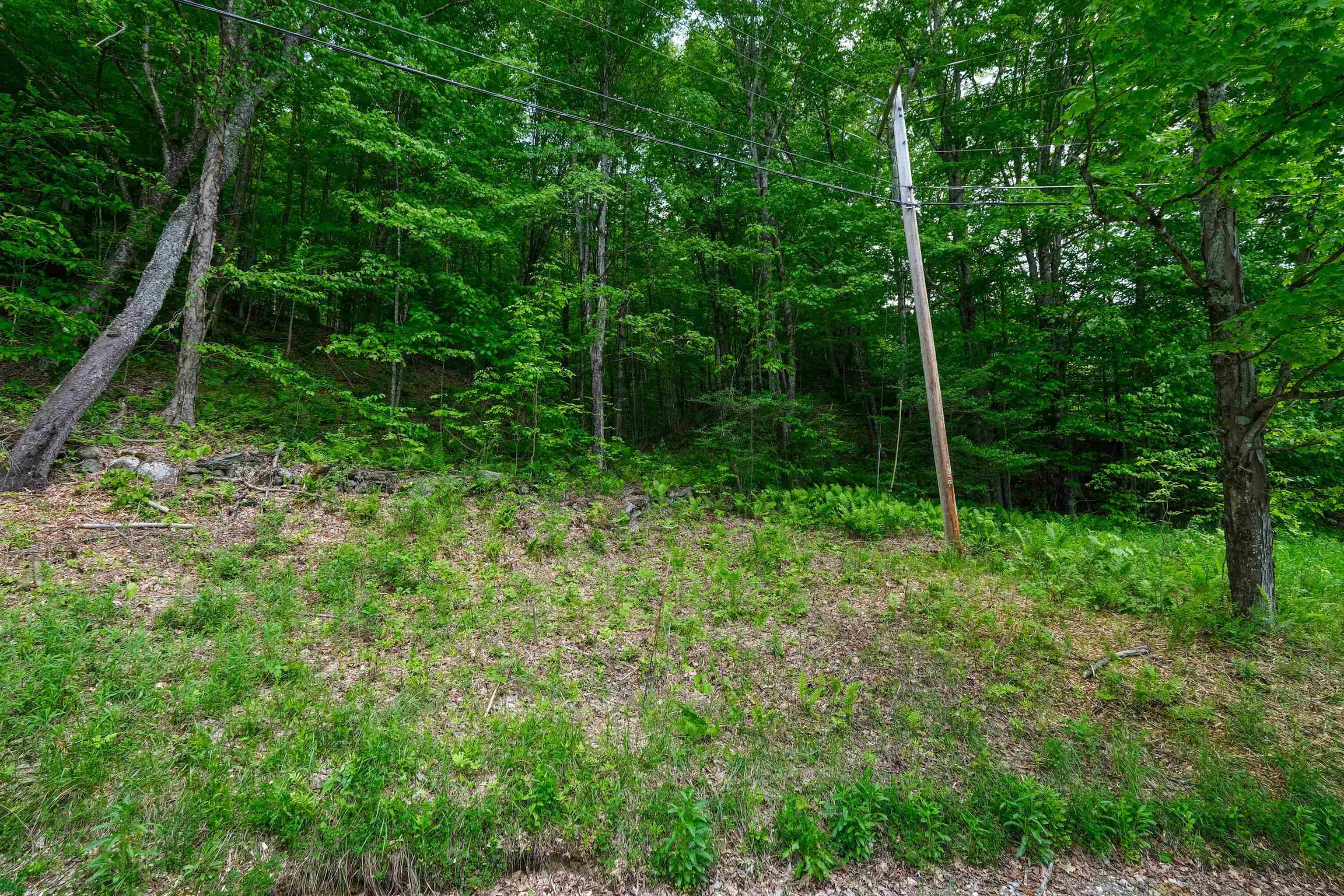 0 East Ash Road Property Photo 7