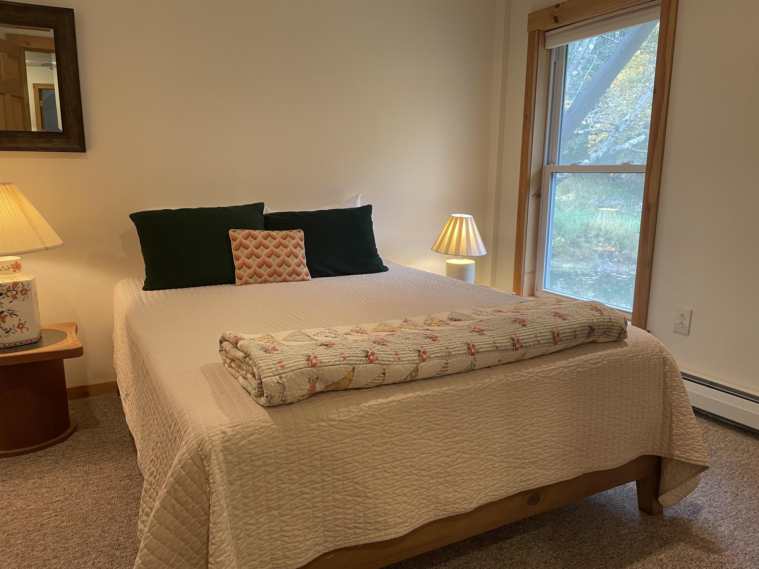 3630 Vt Route 103 N Property Photo 18