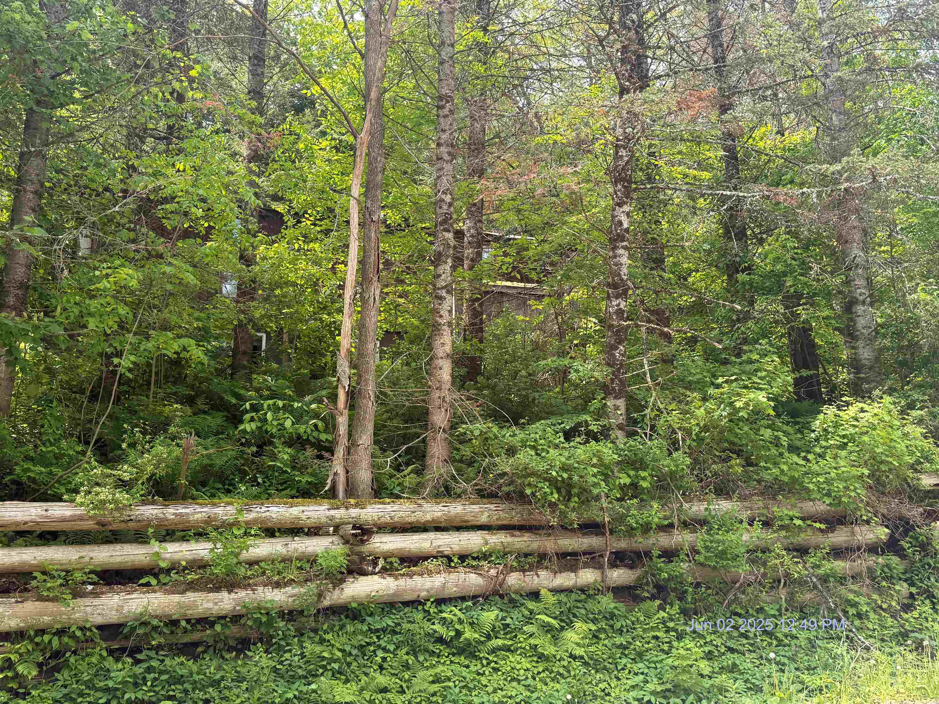 1678 Sangamon Road Property Photo 6