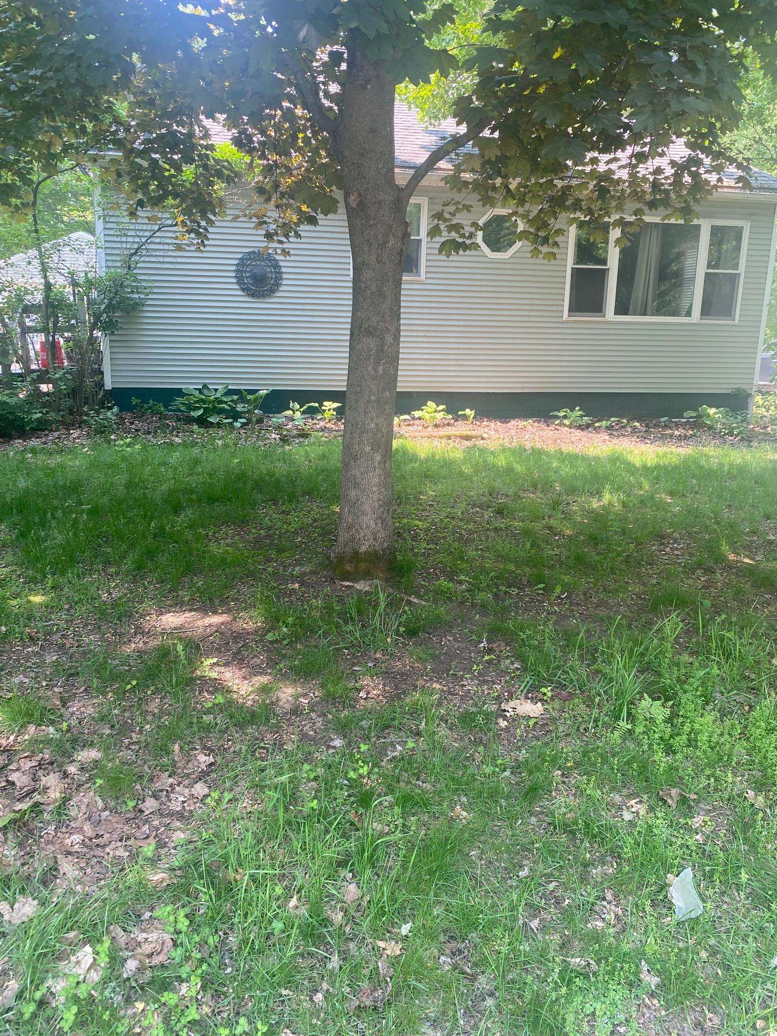 21 Clinton Street Property Photo 1