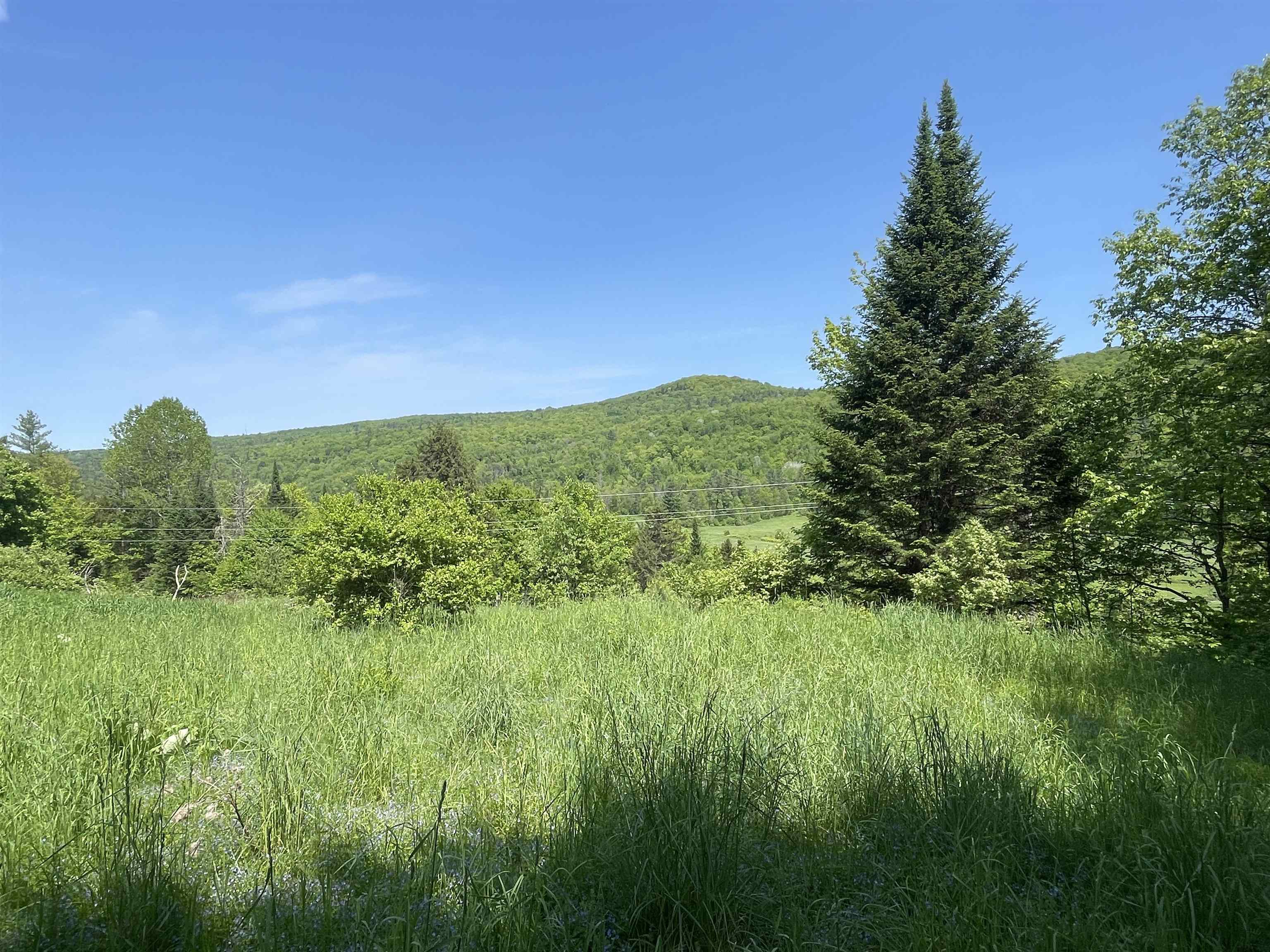 1277 Cabot Road Property Photo 16