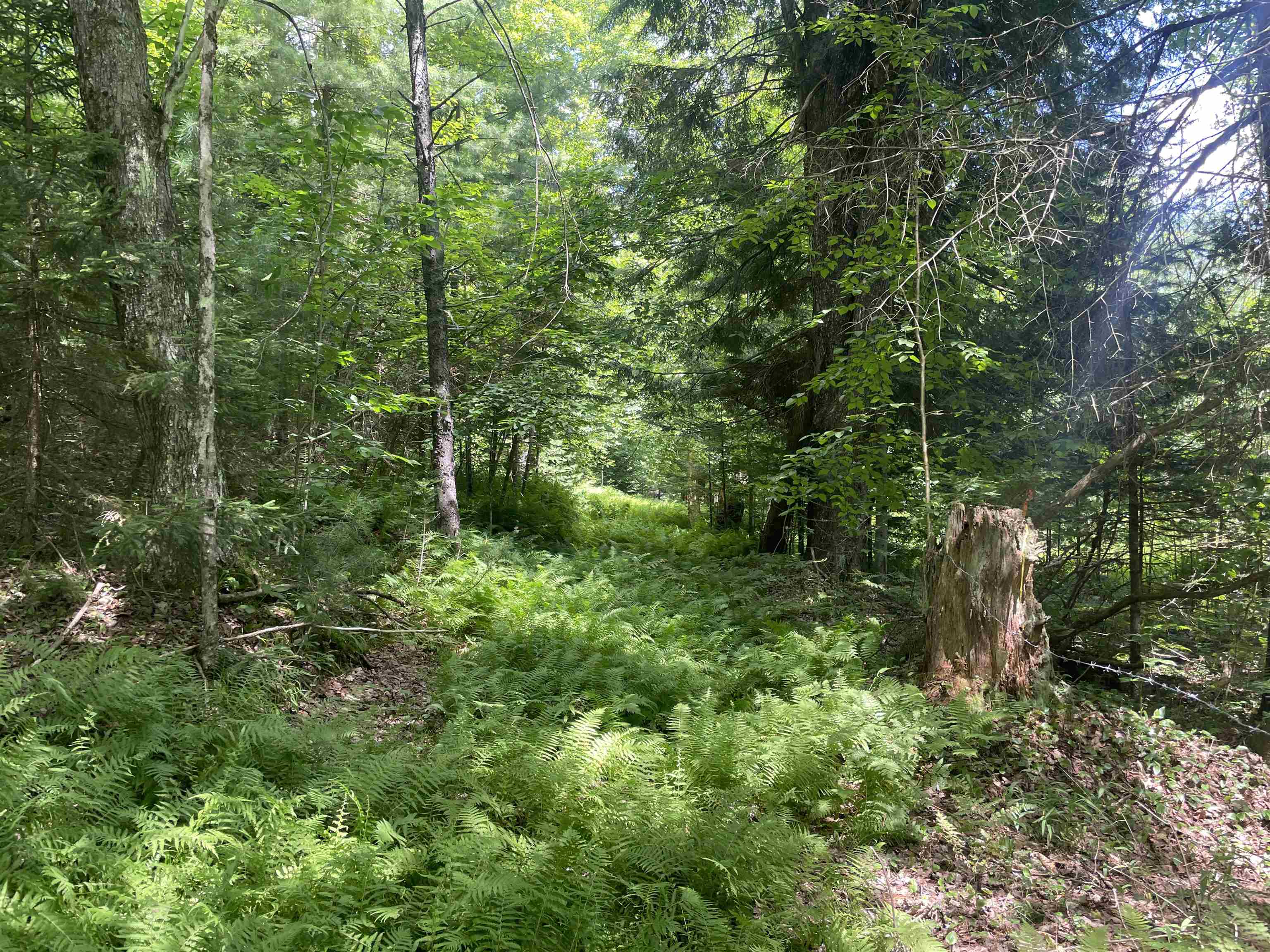 1277 Cabot Road Property Photo 17