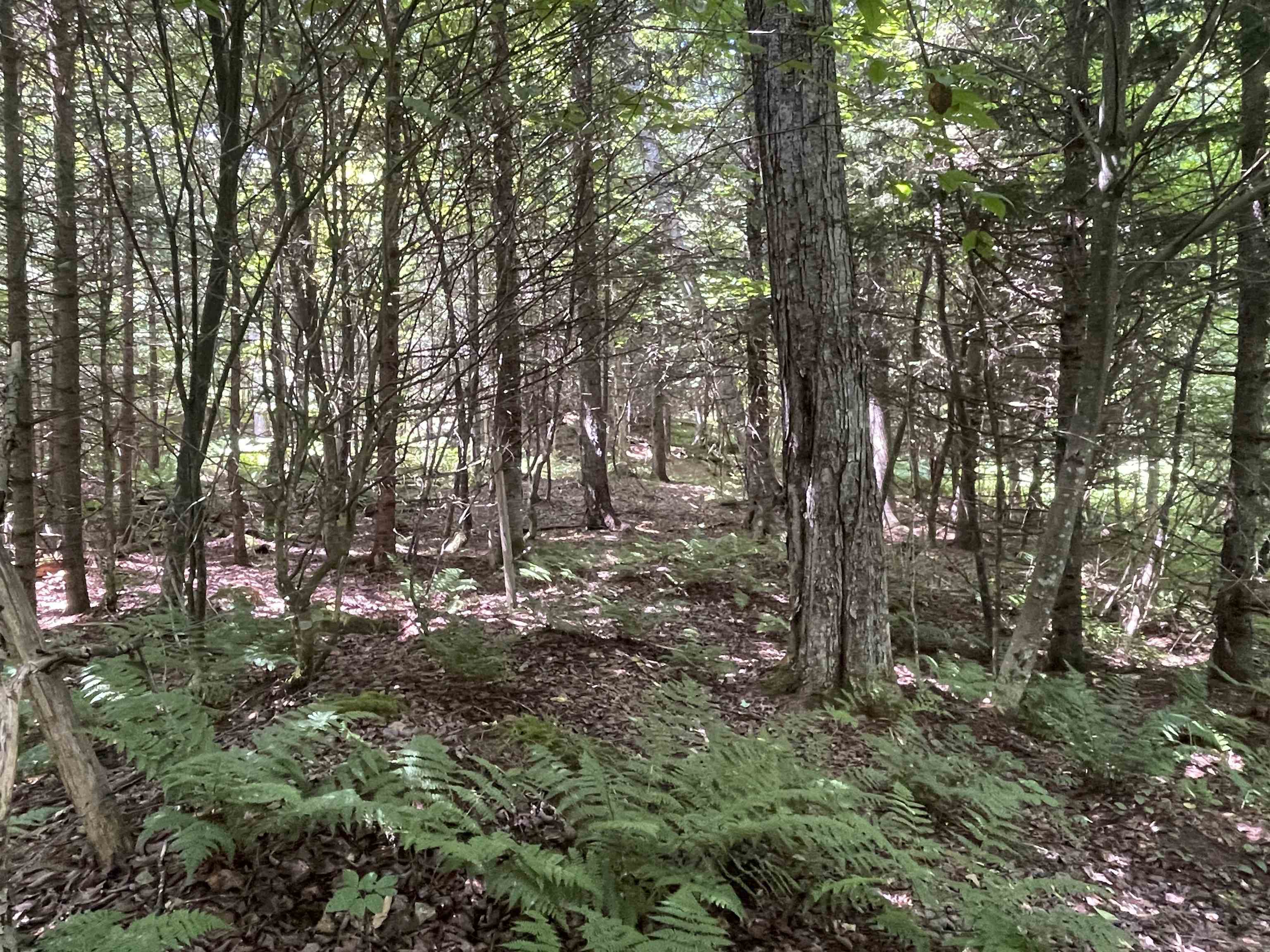 1277 Cabot Road Property Photo 18