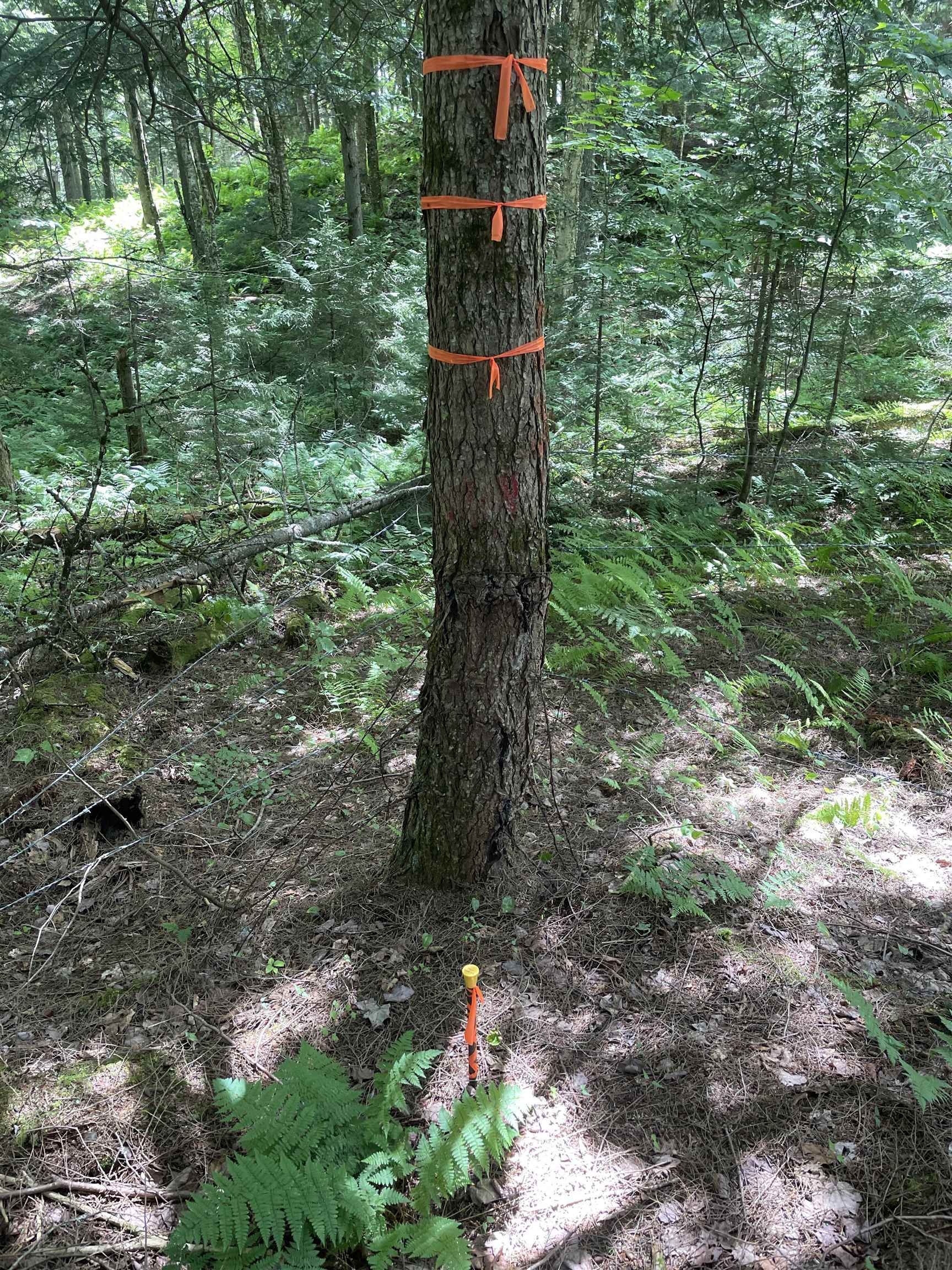 1277 Cabot Road Property Photo 19