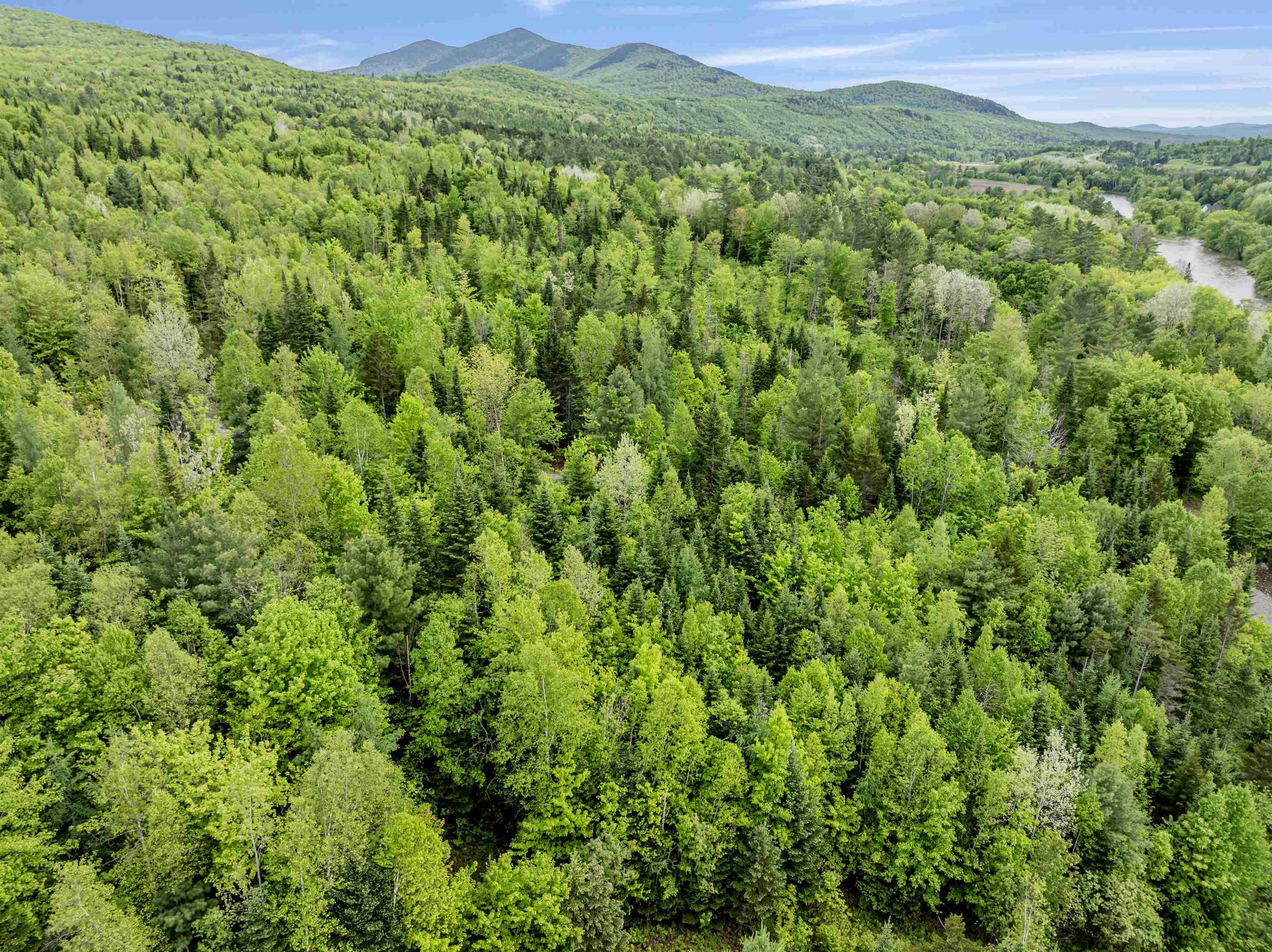 Lot 2 Colburn Drive Property Photo 9