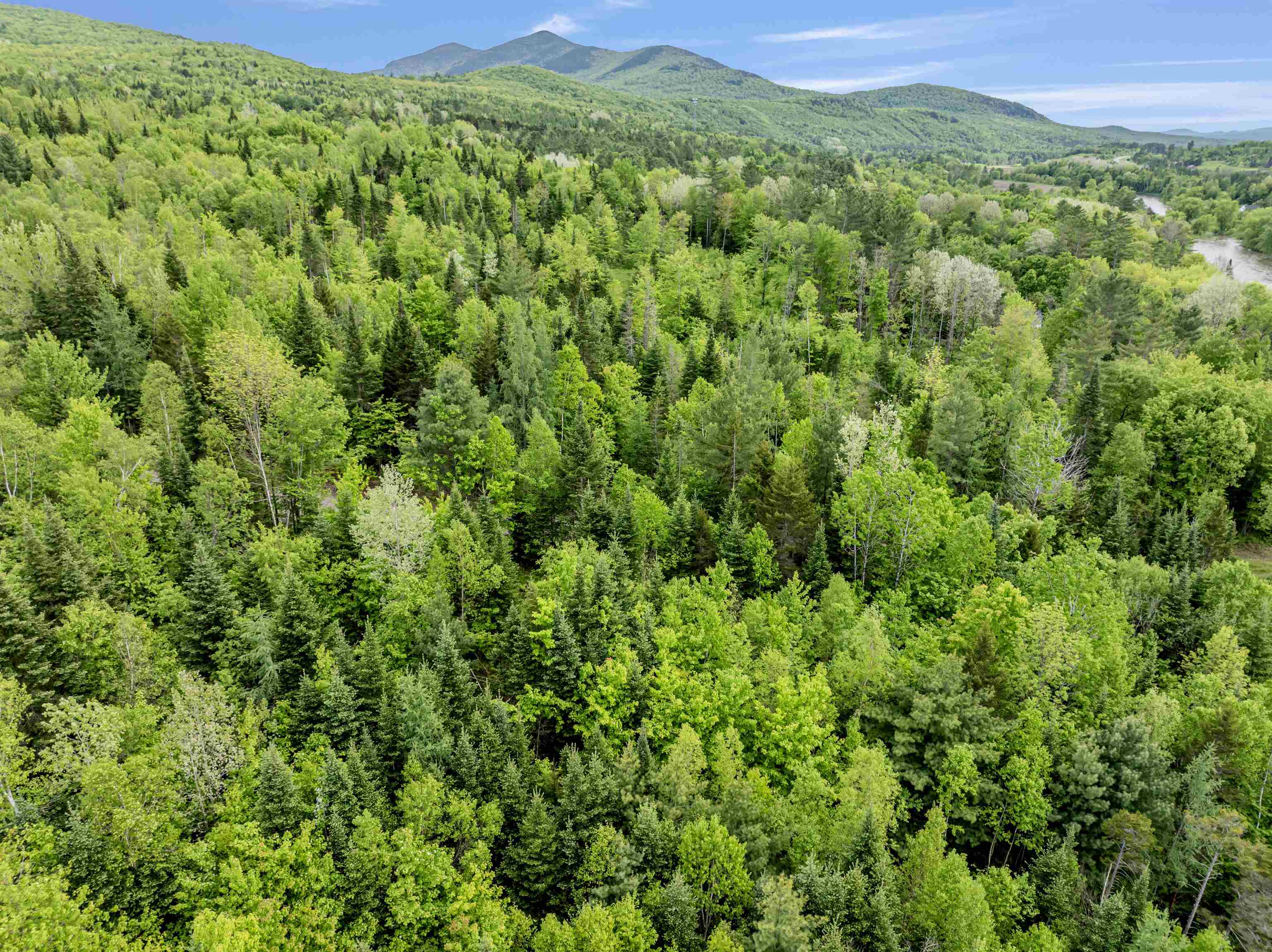 Lot 2 Colburn Drive Property Photo 11