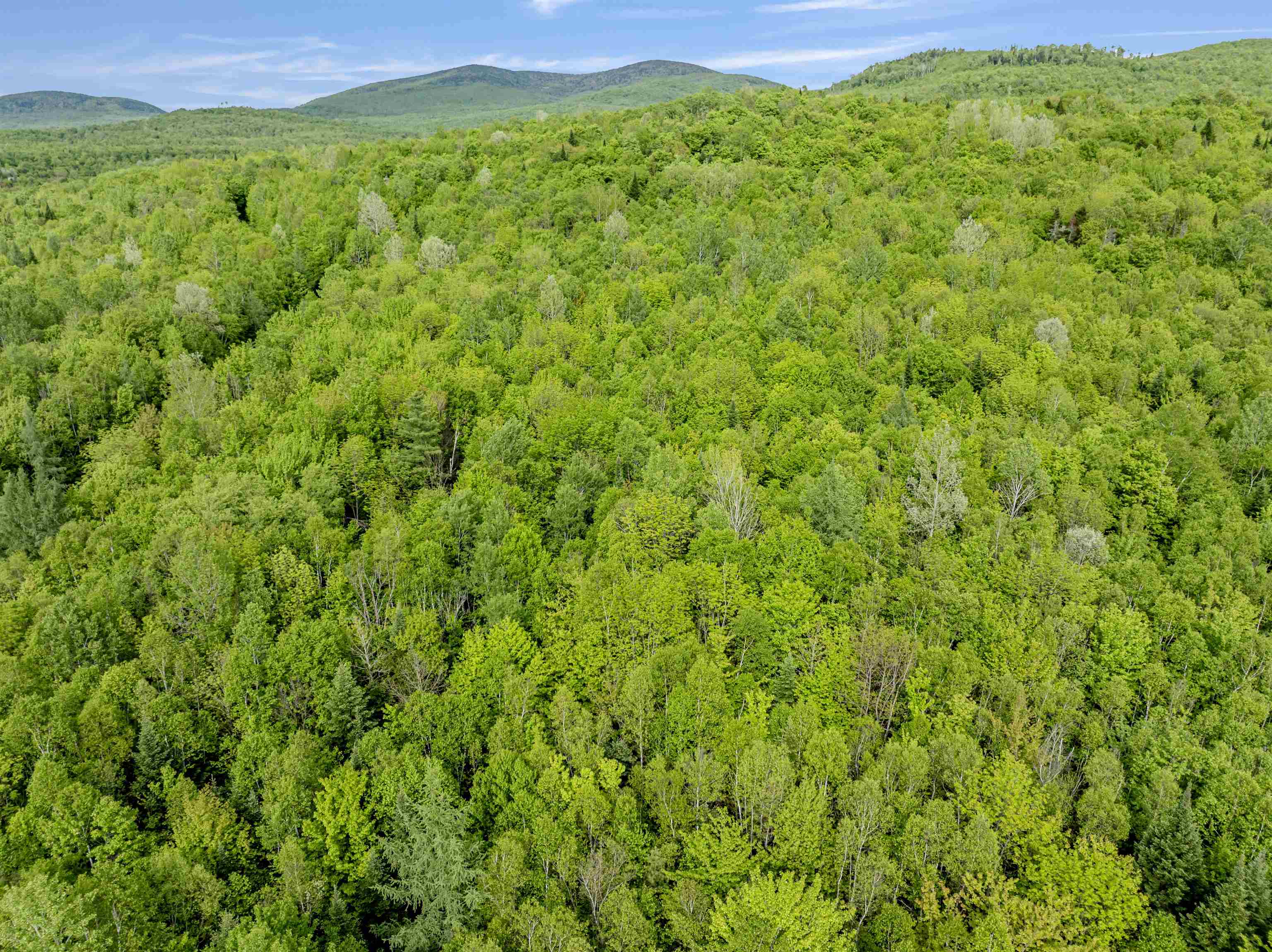 Lot 9 Colburn Drive Property Photo 5