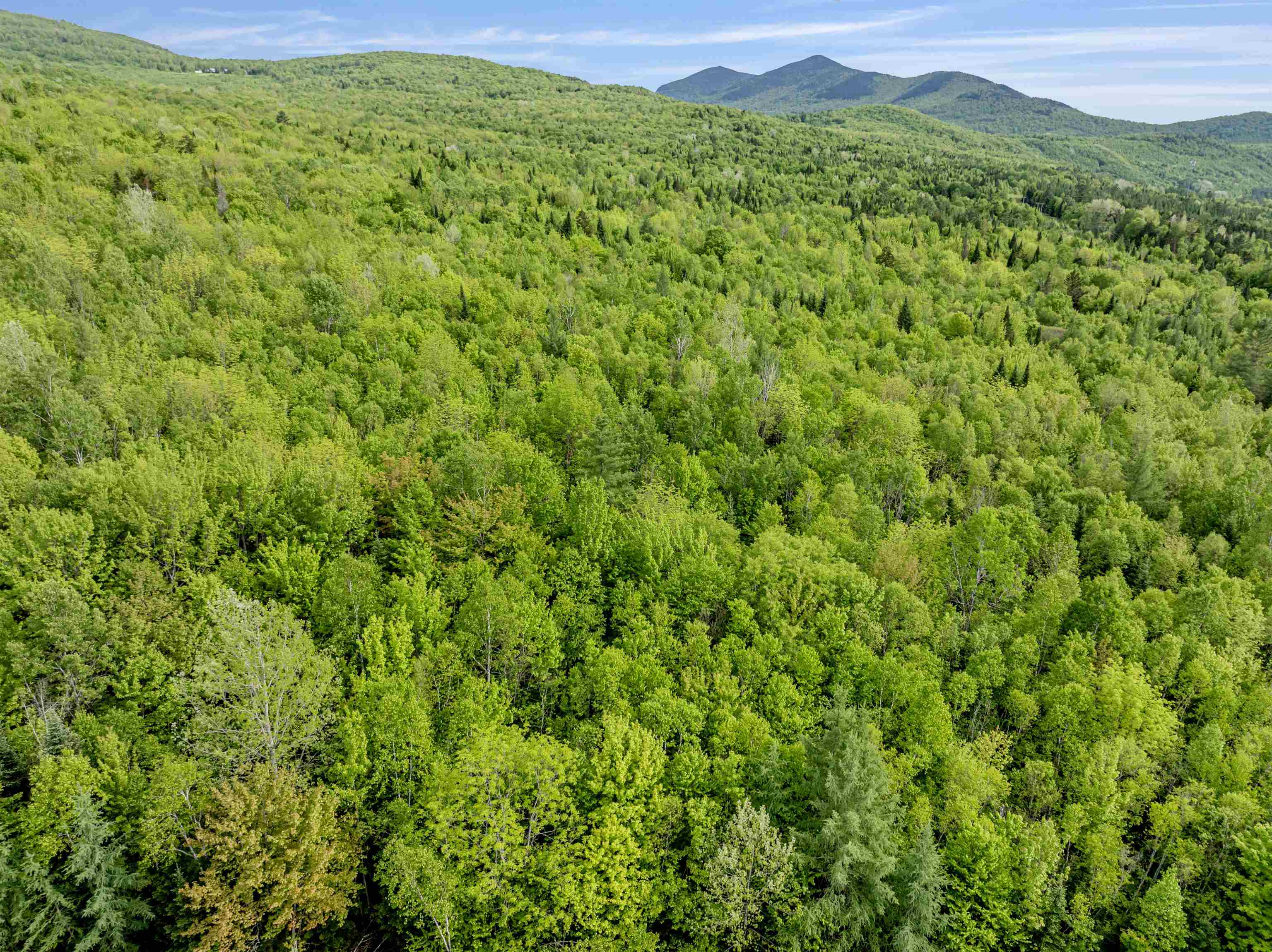 Lot 9 Colburn Drive Property Photo 6