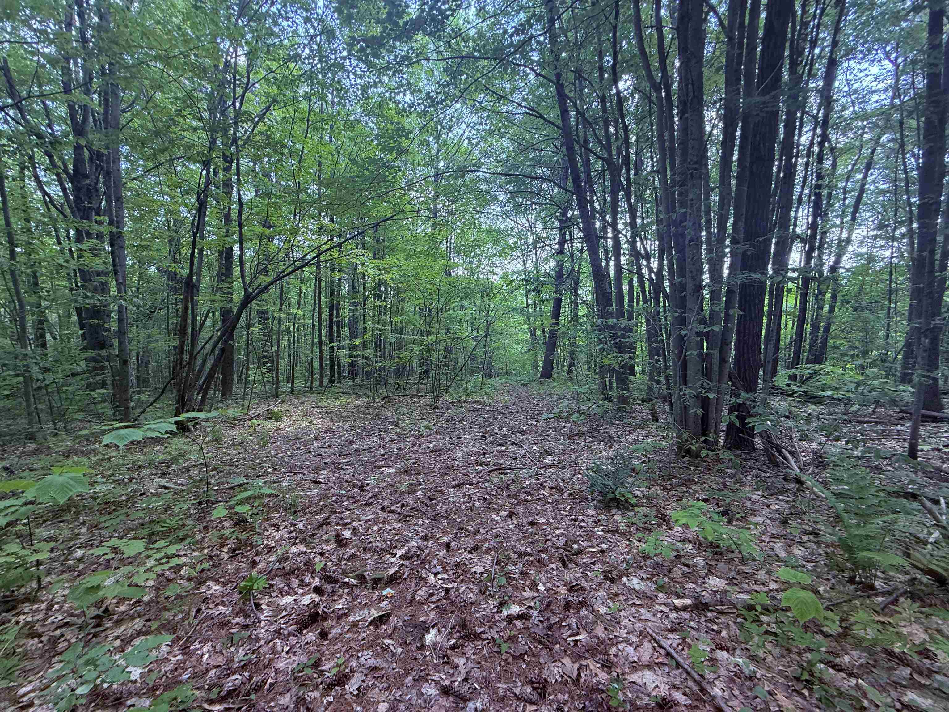 251 Phillips Hill Road Property Photo 1