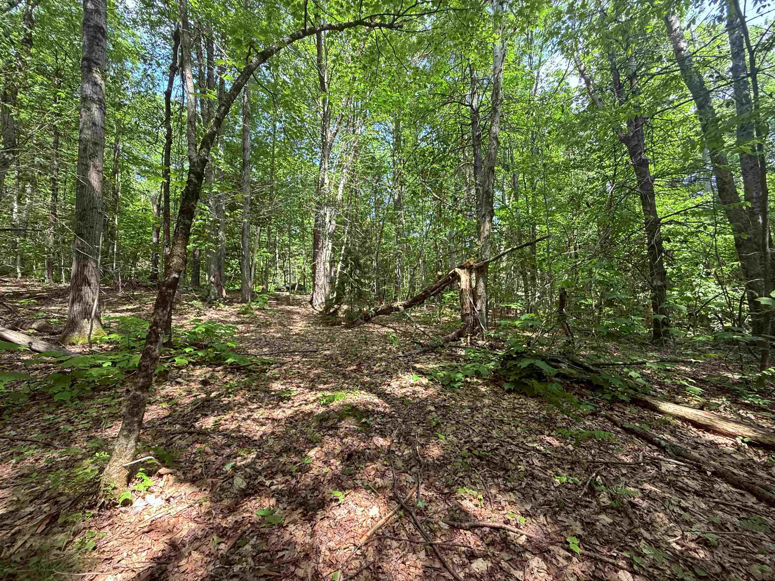 251 Phillips Hill Road Property Photo 5
