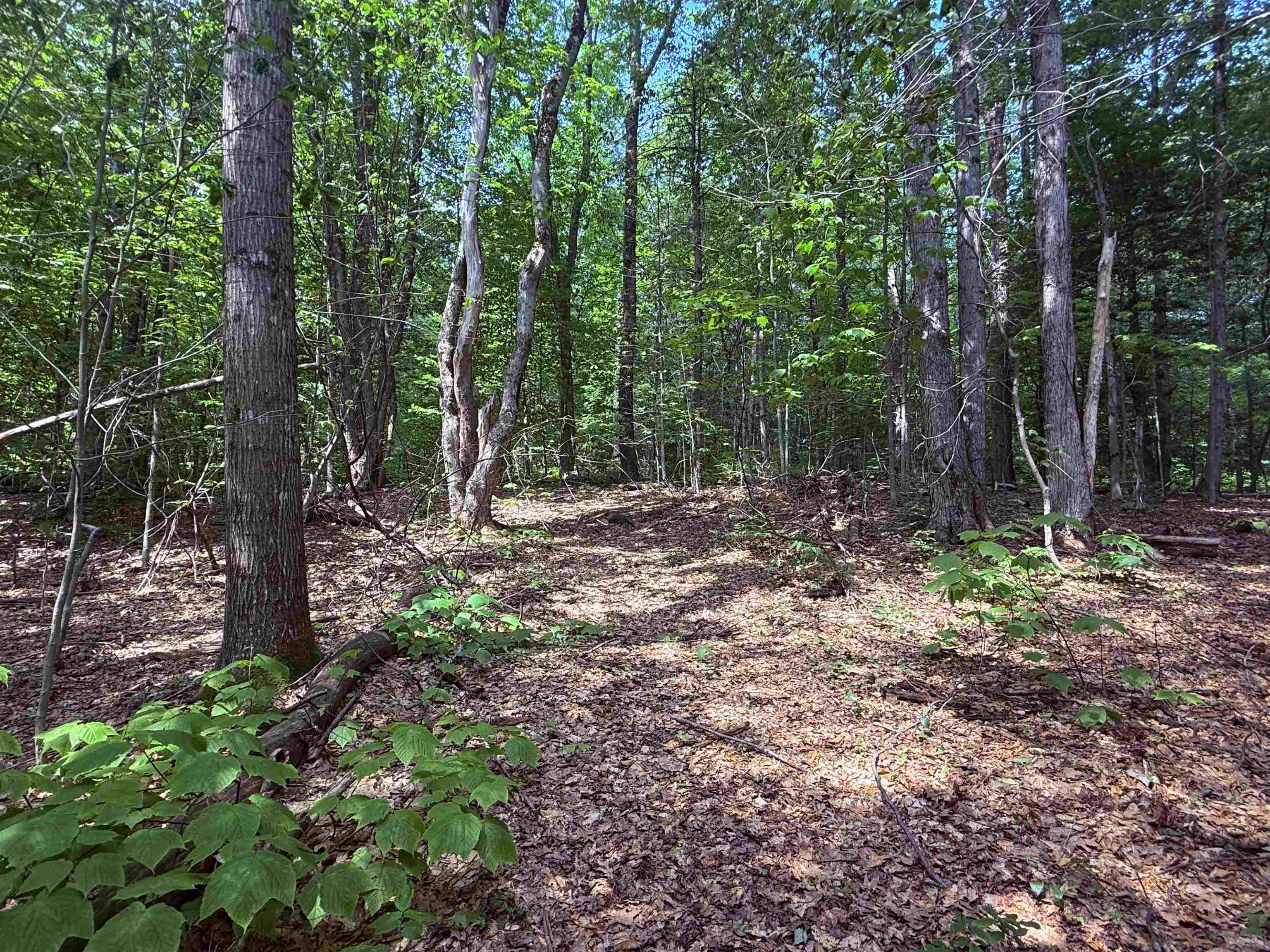 251 Phillips Hill Road Property Photo 6