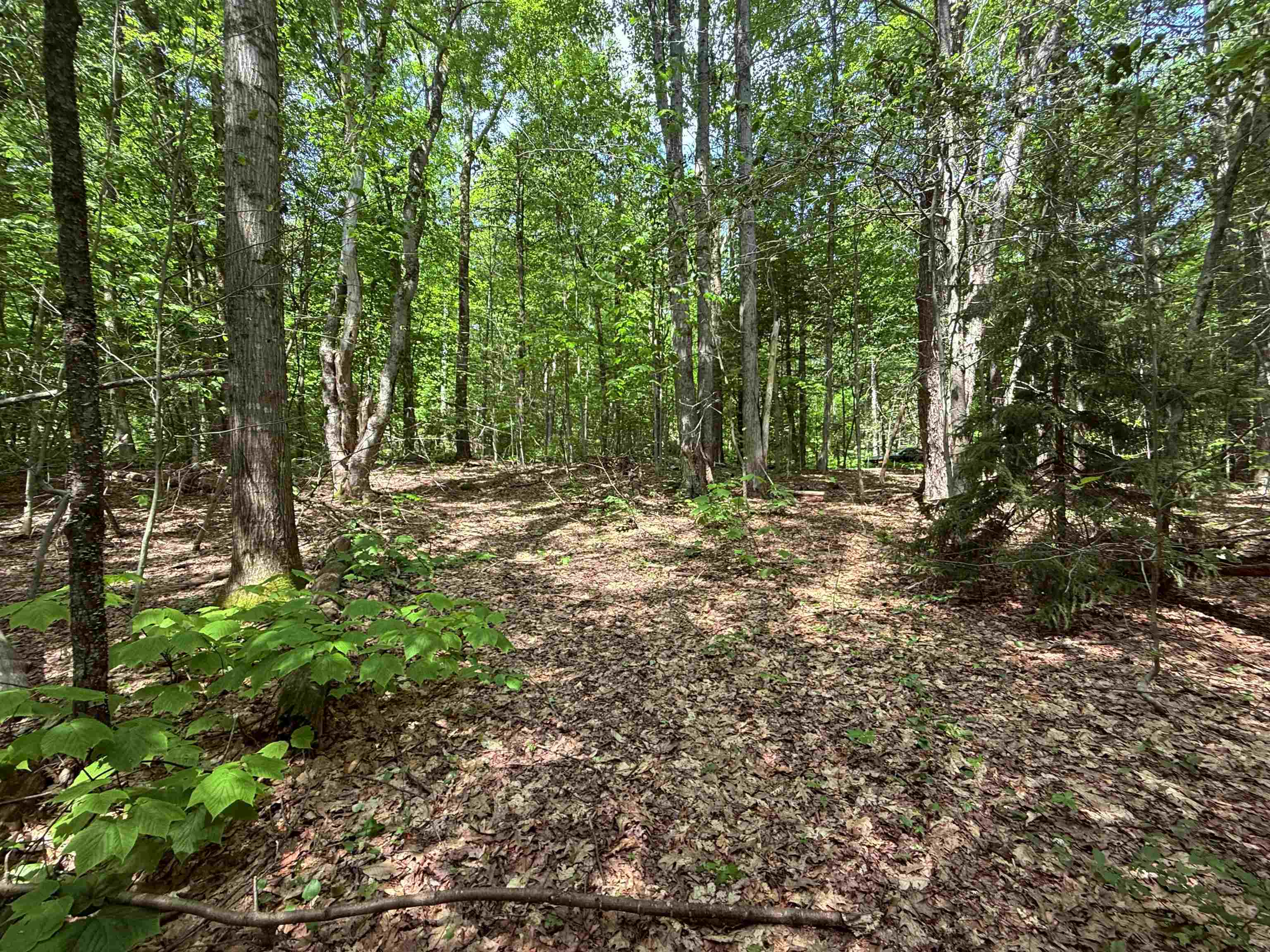 251 Phillips Hill Road Property Photo 8
