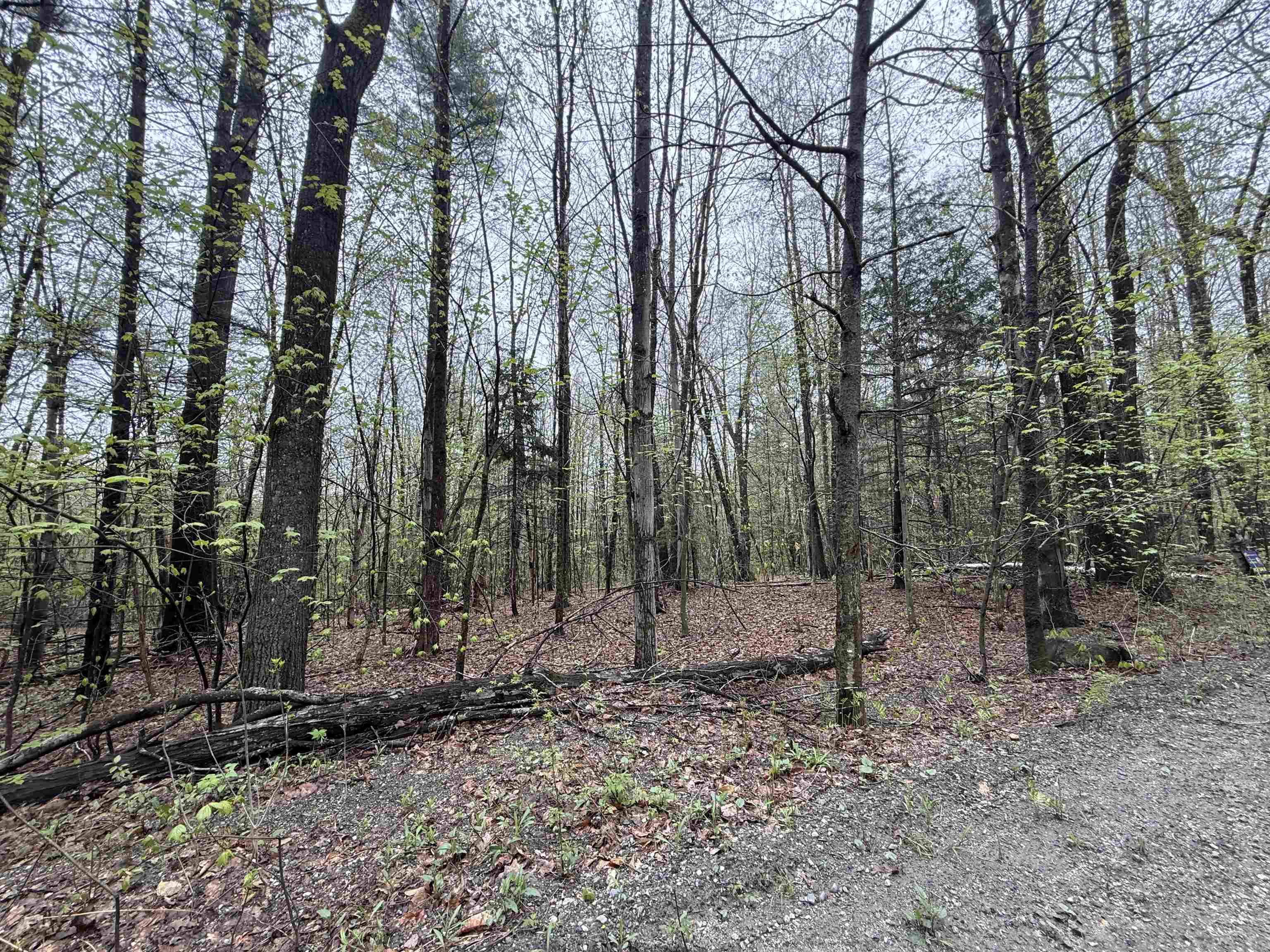 251 Phillips Hill Road Property Photo 10