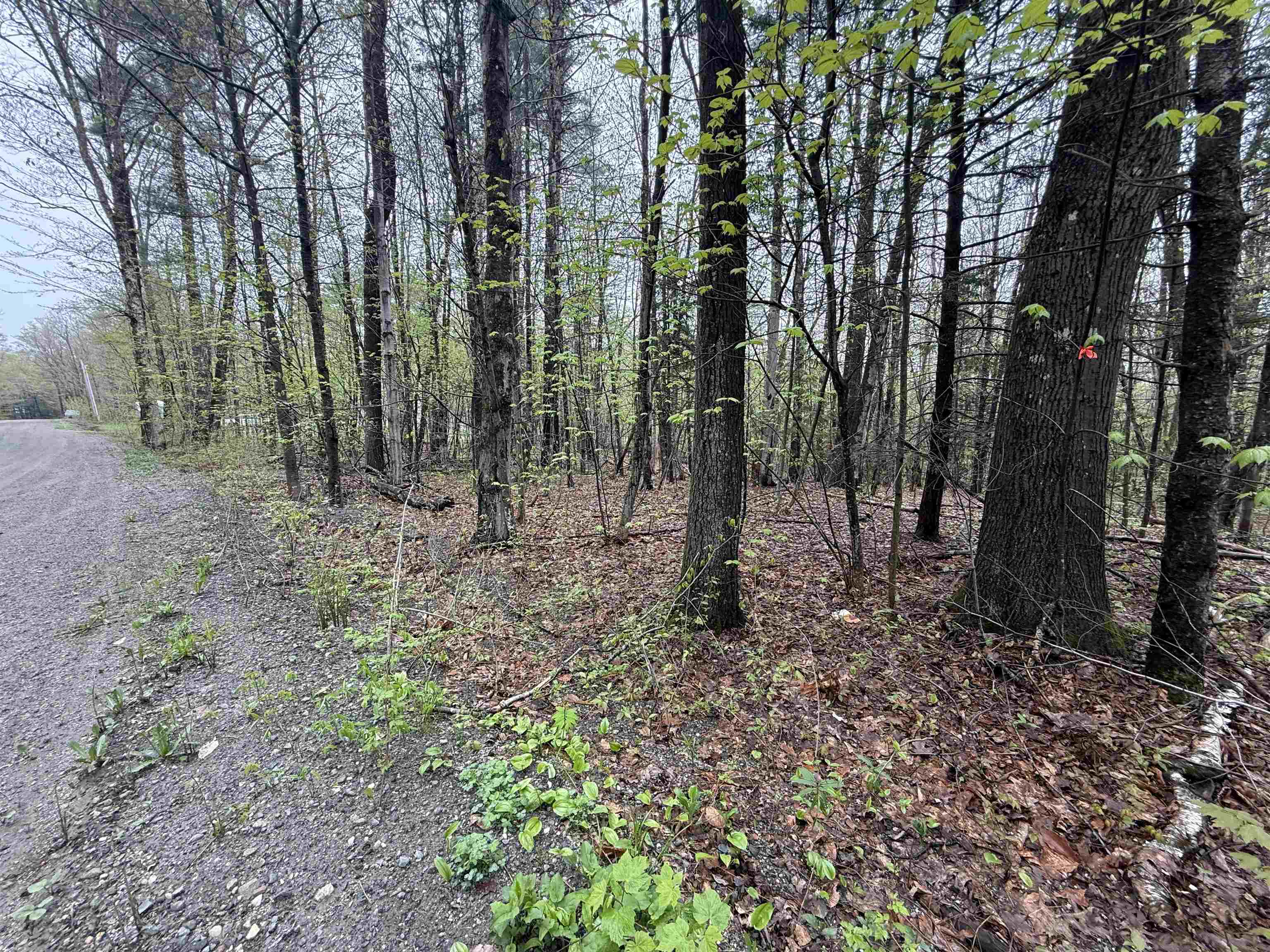 251 Phillips Hill Road Property Photo 15