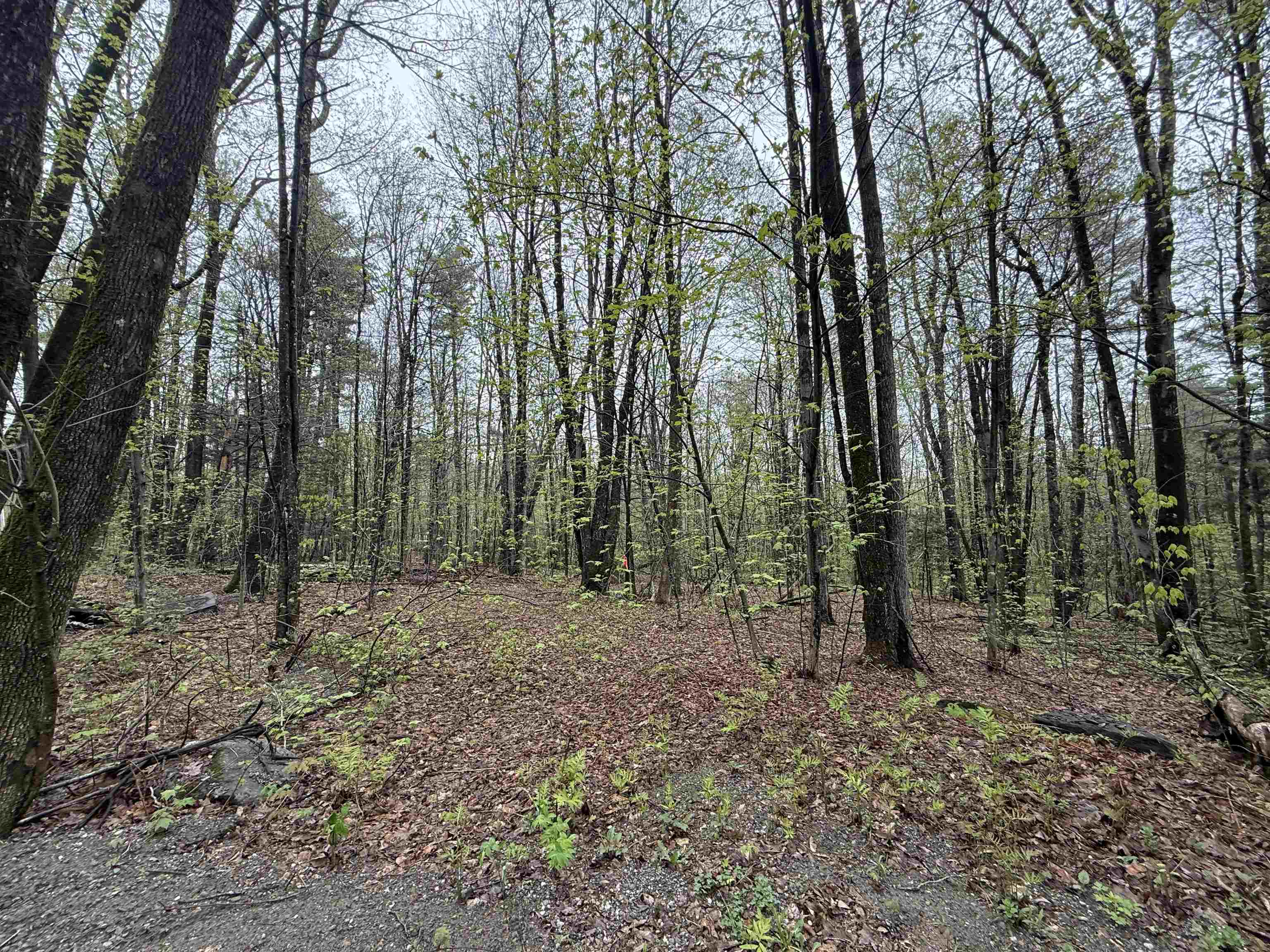 251 Phillips Hill Road Property Photo 17
