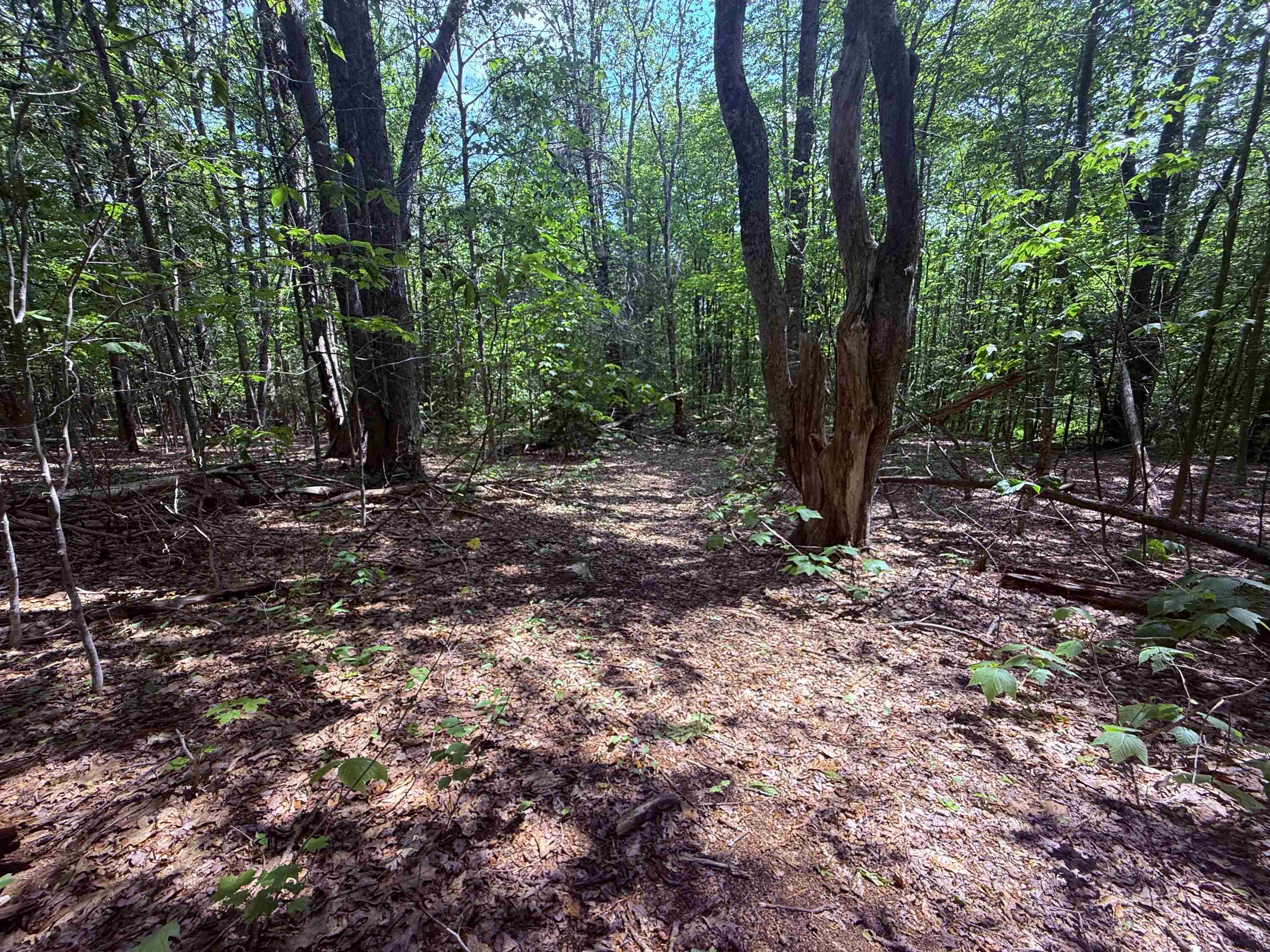 251 Phillips Hill Road Property Photo 20