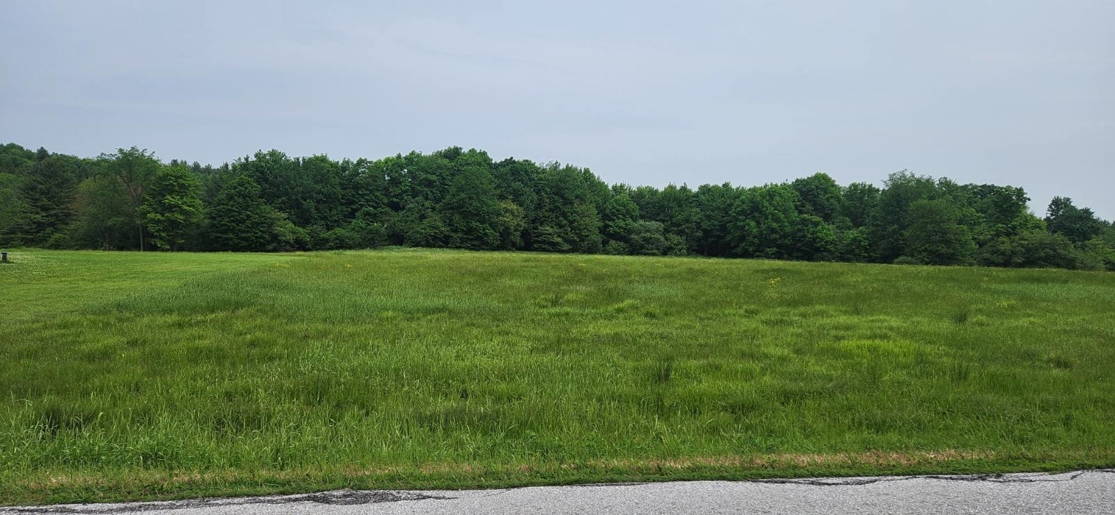 2051 Sheldon Woods Road Property Photo 1