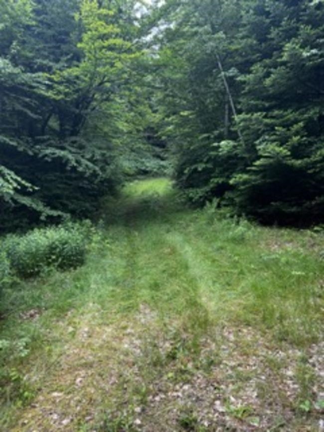 196 Old Pound Road Property Photo 1