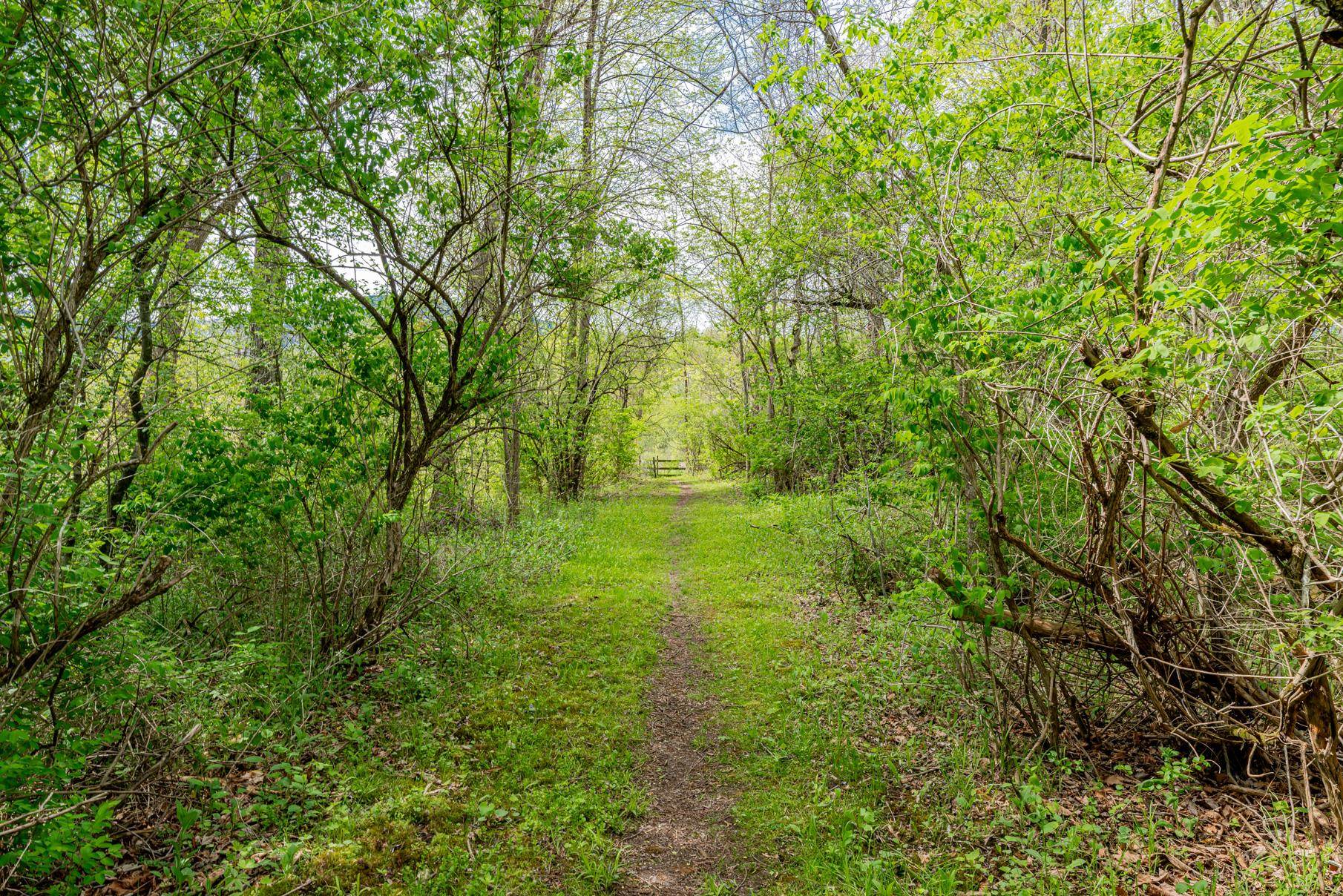 1589 Richville Road Property Photo 34