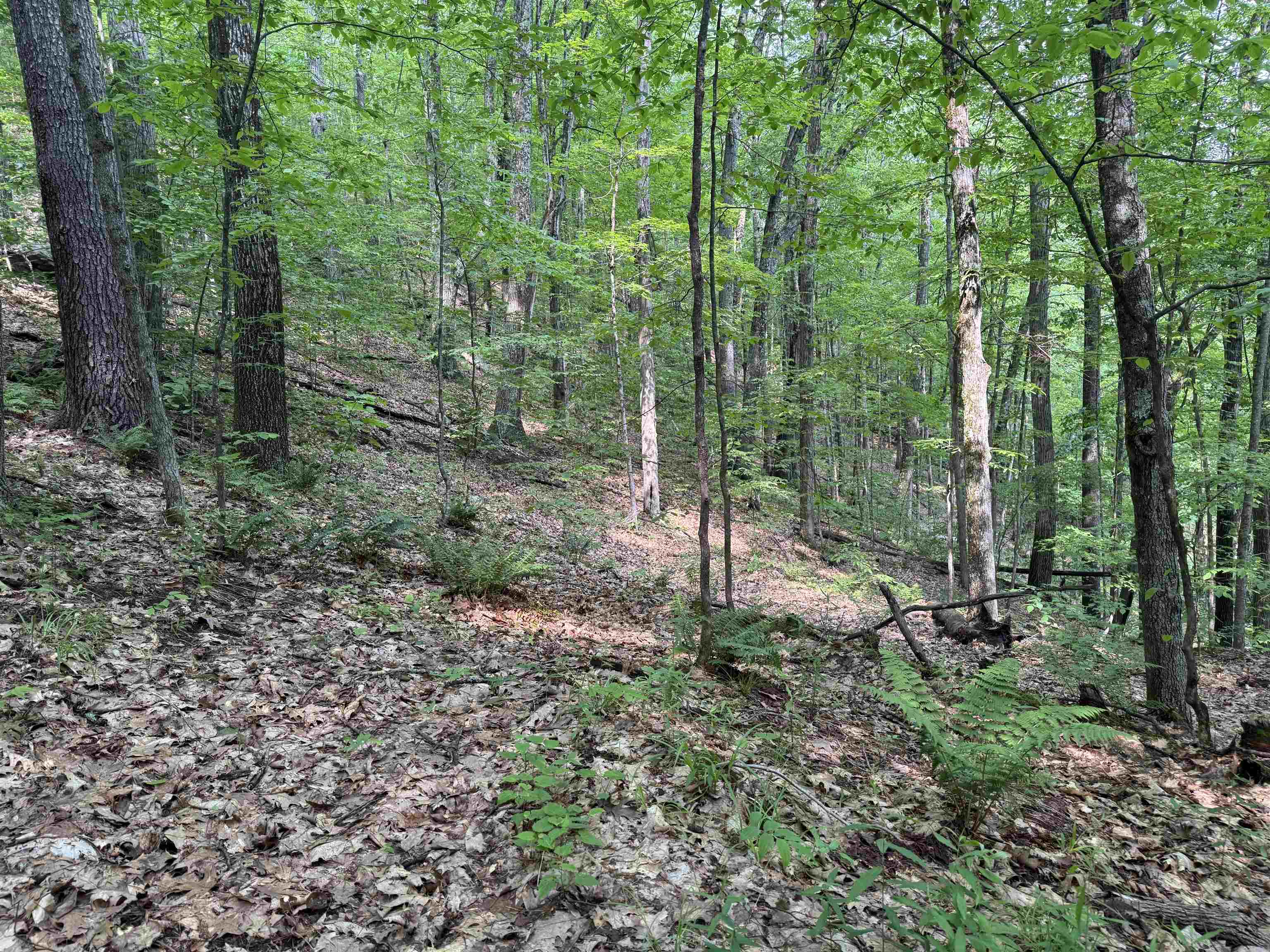 0 Ober Hill Road Property Photo 1