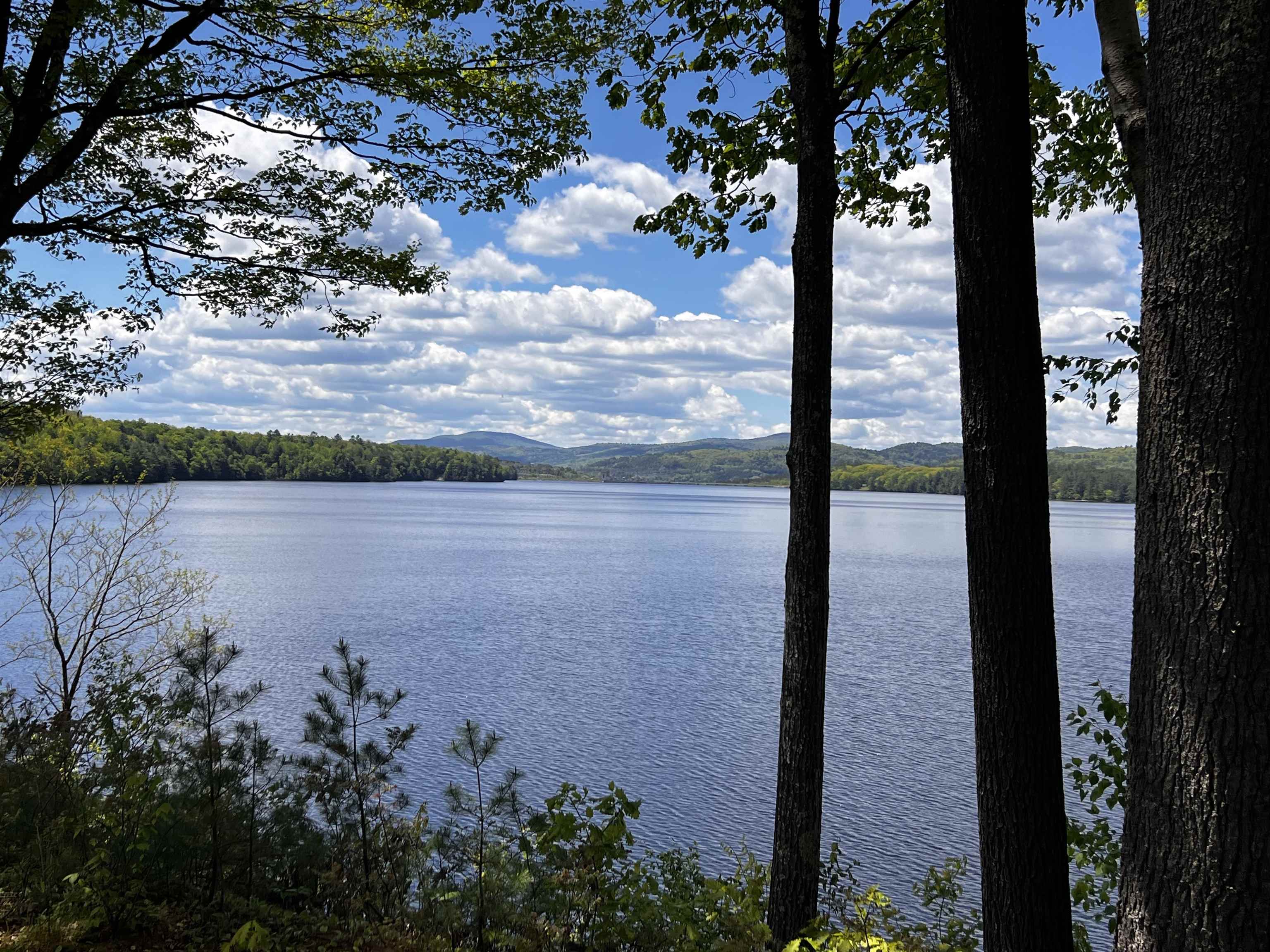 3945 Lower Waterford Road Property Photo 56