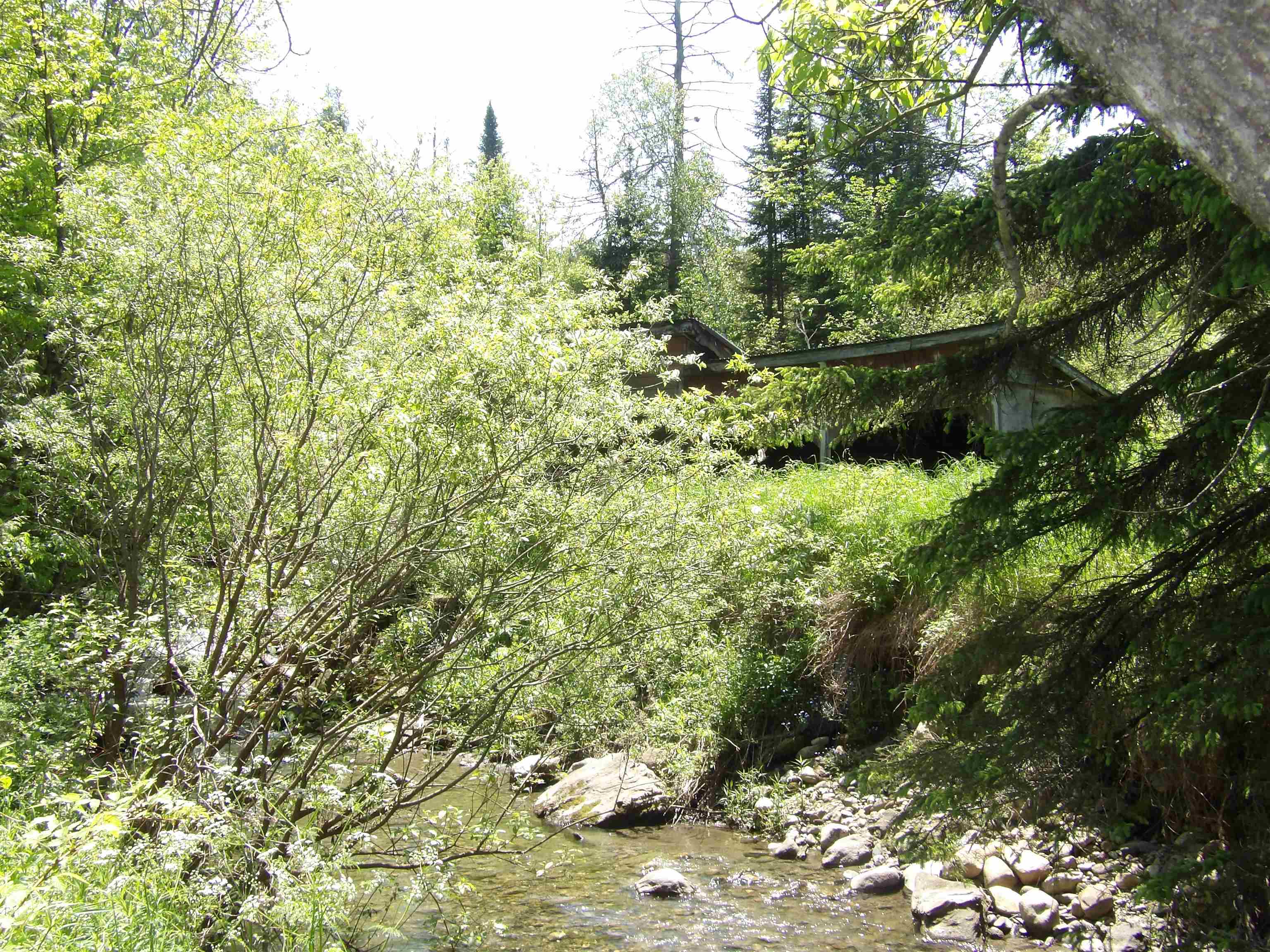 338 West Corinth Road Property Photo 25