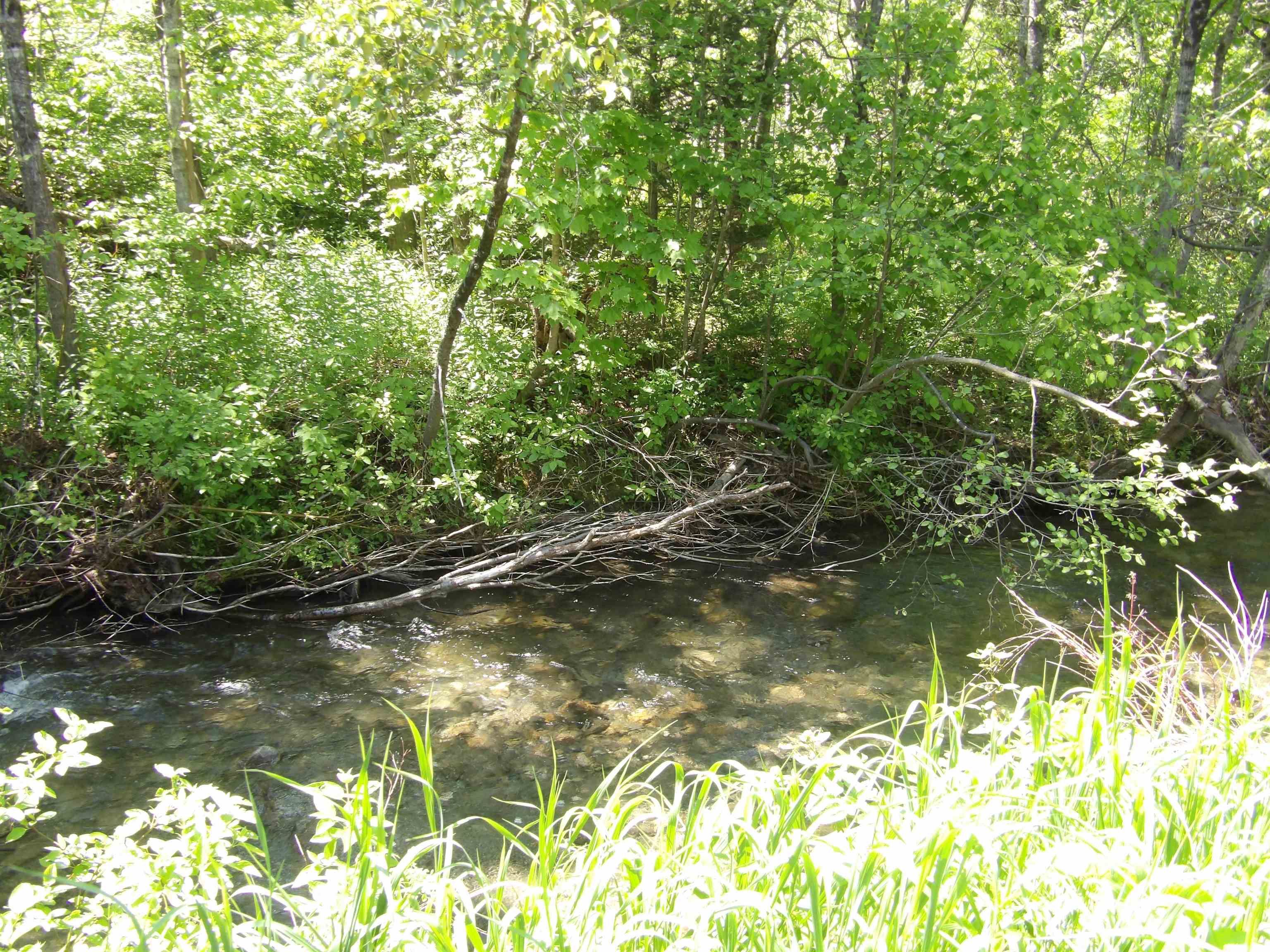 338 West Corinth Road Property Photo 26