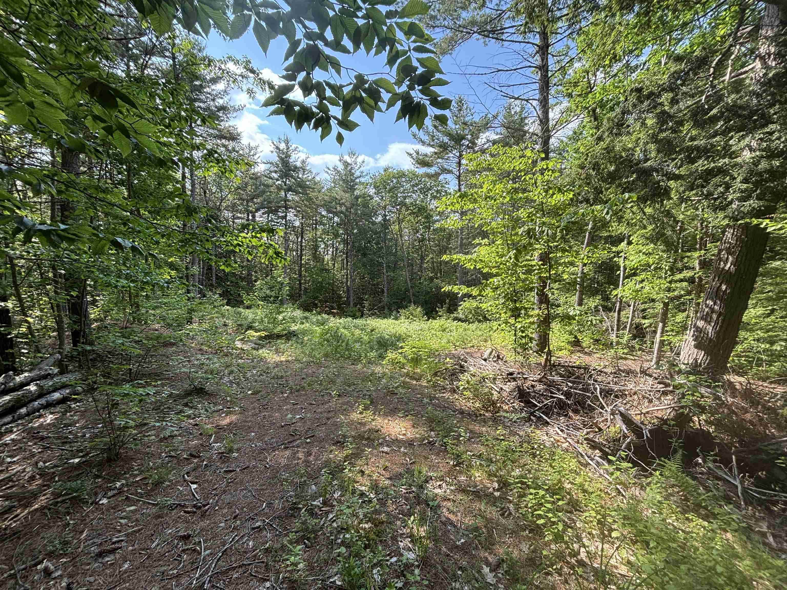 00 Davis Hill Road Property Photo 1