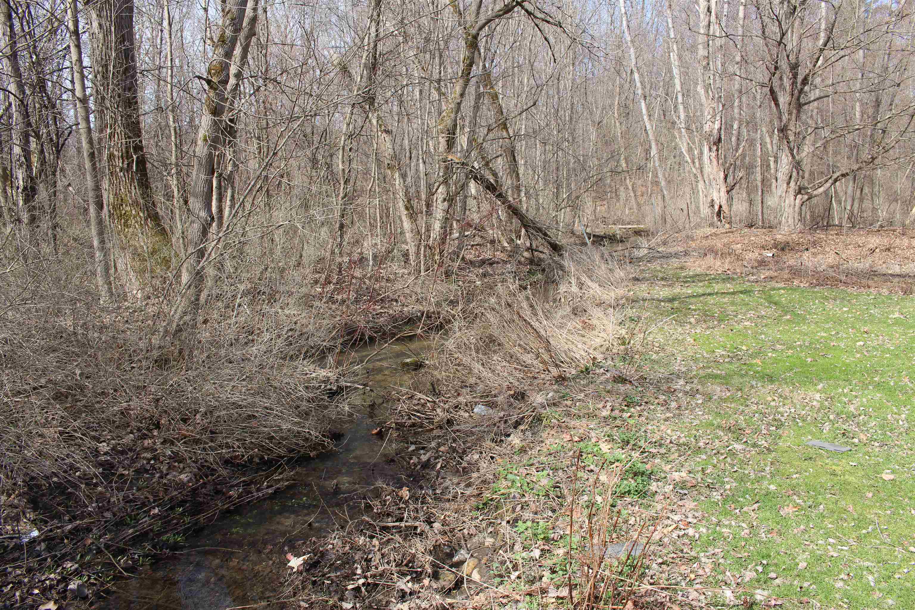 109 Evergreen Drive Property Photo 2