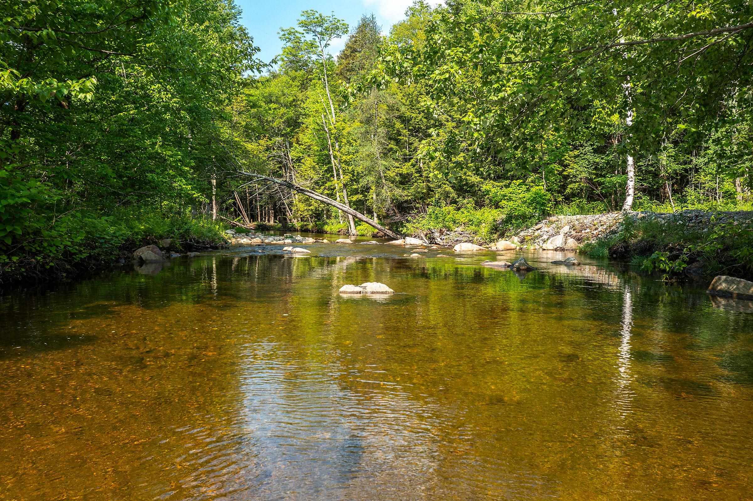 1166 Route 100 Property Photo 41