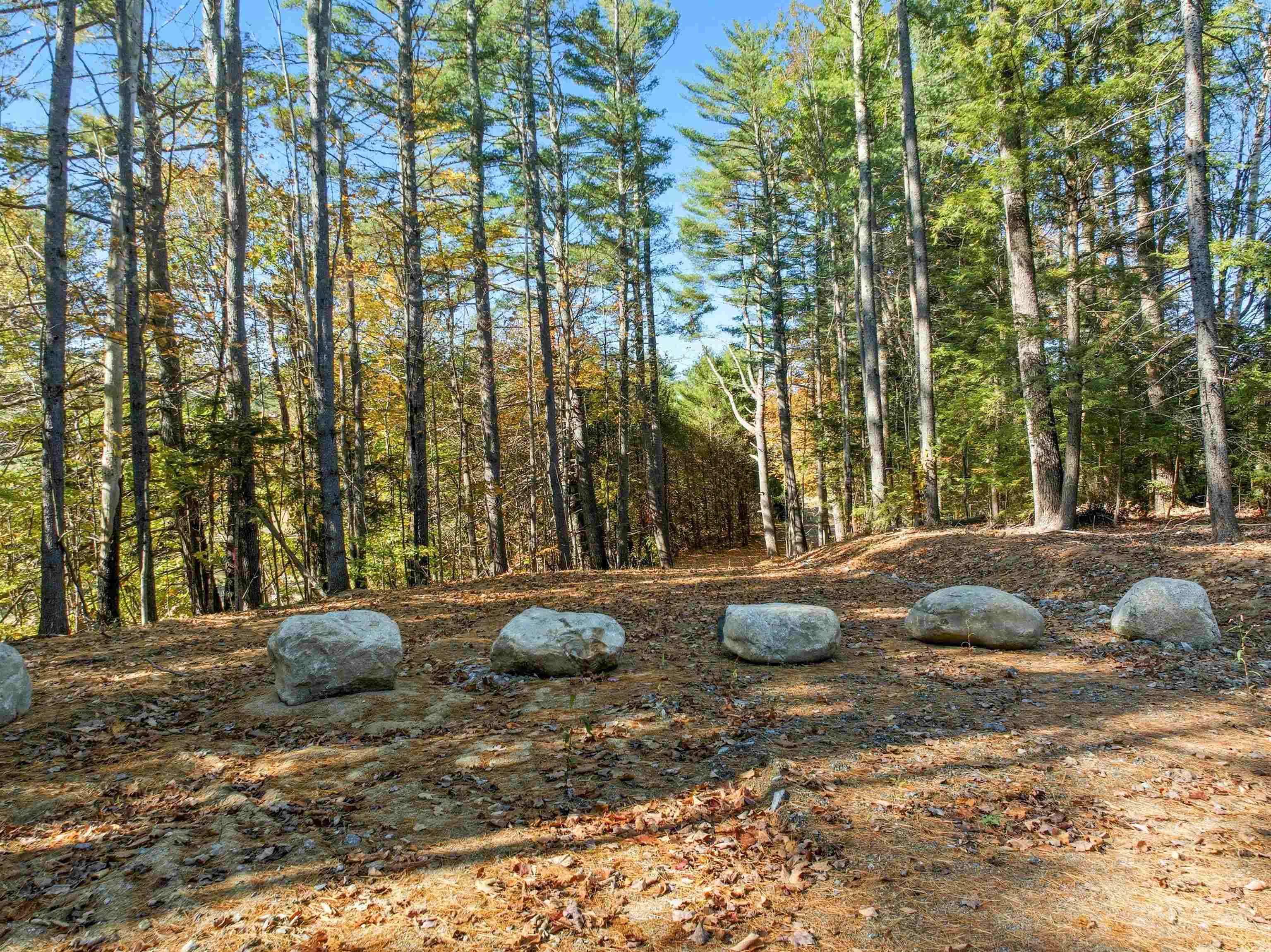 115 Adams Farm Road