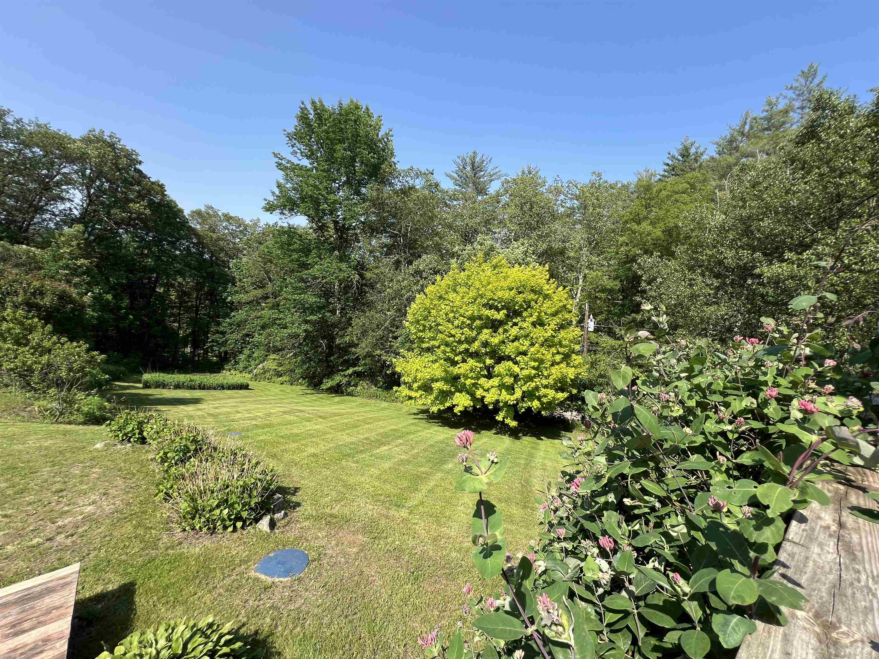 168 Howard Road Property Photo 37