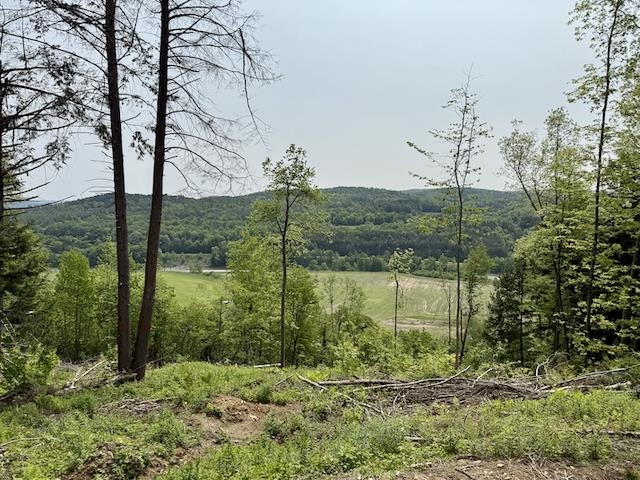 0 Peavine Boulevard Property Photo 3