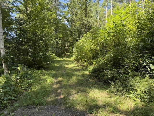 0 Peavine Boulevard Property Photo 7
