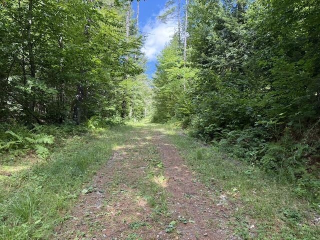 0 Peavine Boulevard Property Photo 8