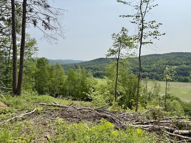 0 Peavine Boulevard Property Photo 11