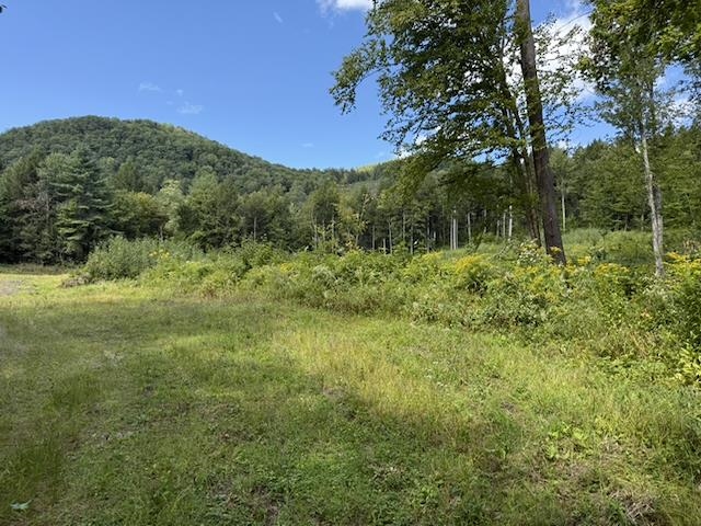 0 Peavine Boulevard Property Photo 11