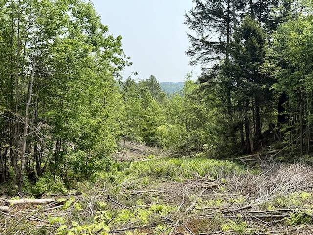 0 Peavine Boulevard Property Photo 12